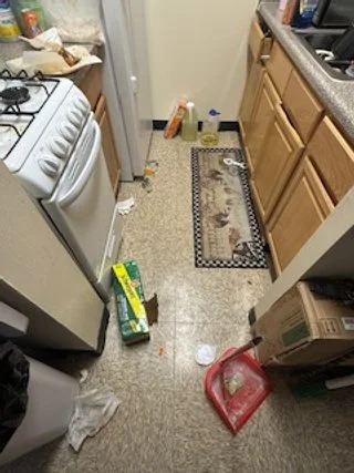 Messy kitchen floor with scattered trash, food items, and a damaged cleaning spray bottle, near a stove, refrigerator, and kitchen cabinets.