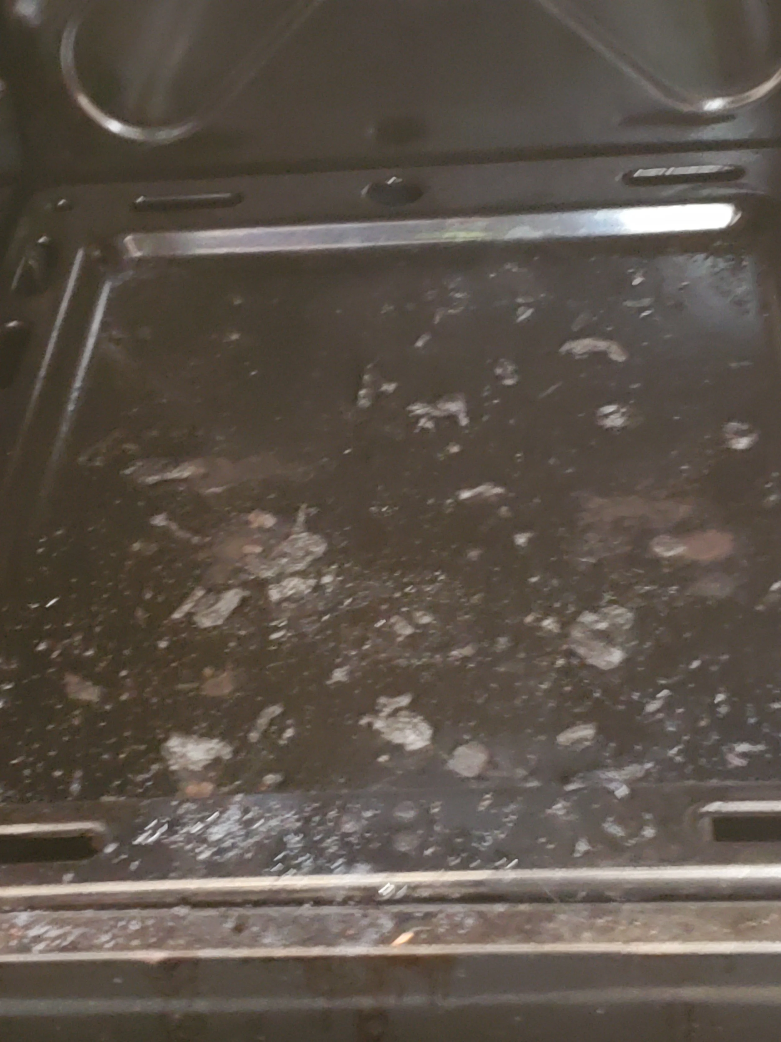 Oven door with burnt food - BEFORE DEEP CLEANING