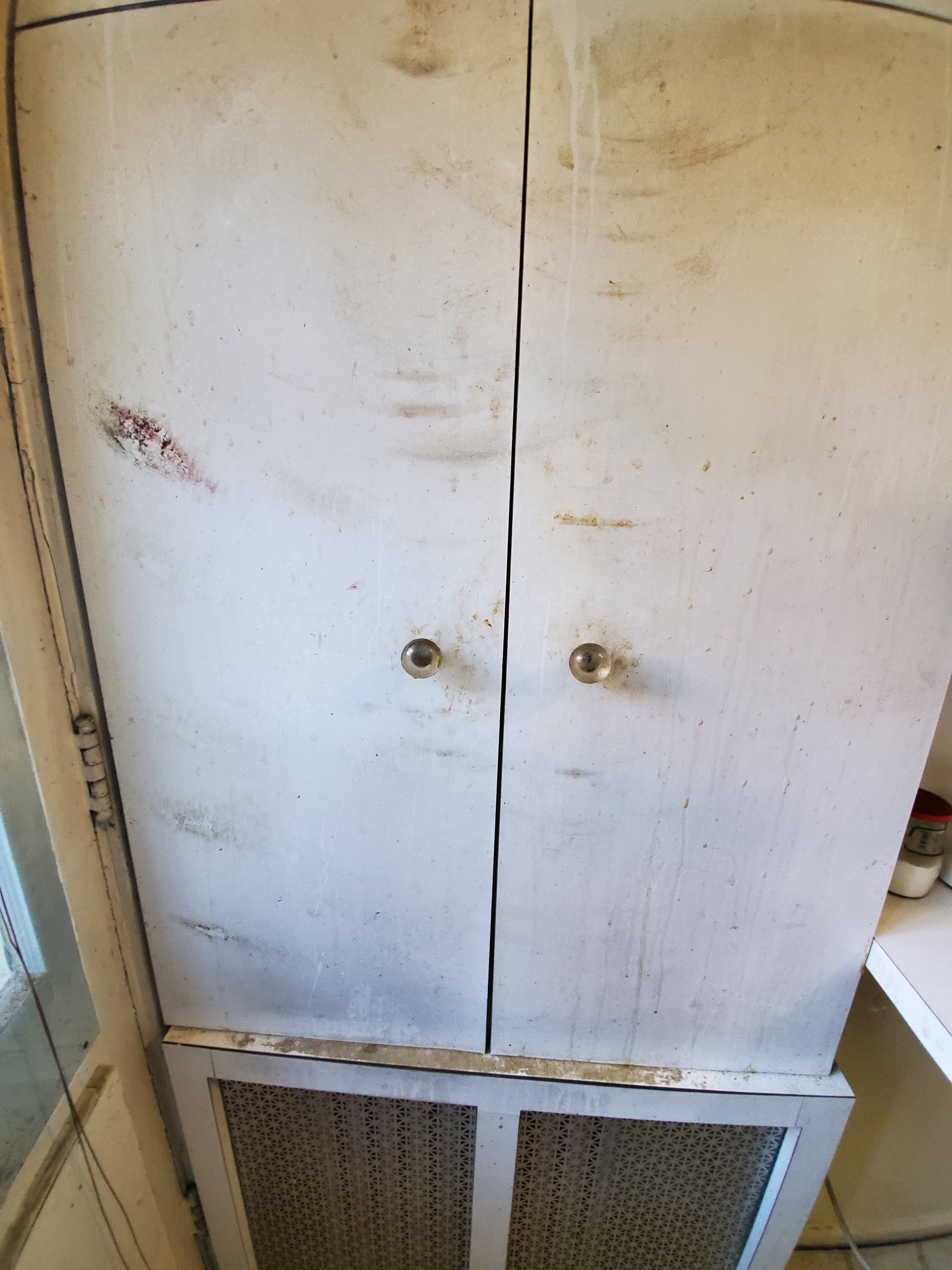 The Greasy Cabinet - BEFORE CLEAN-UP