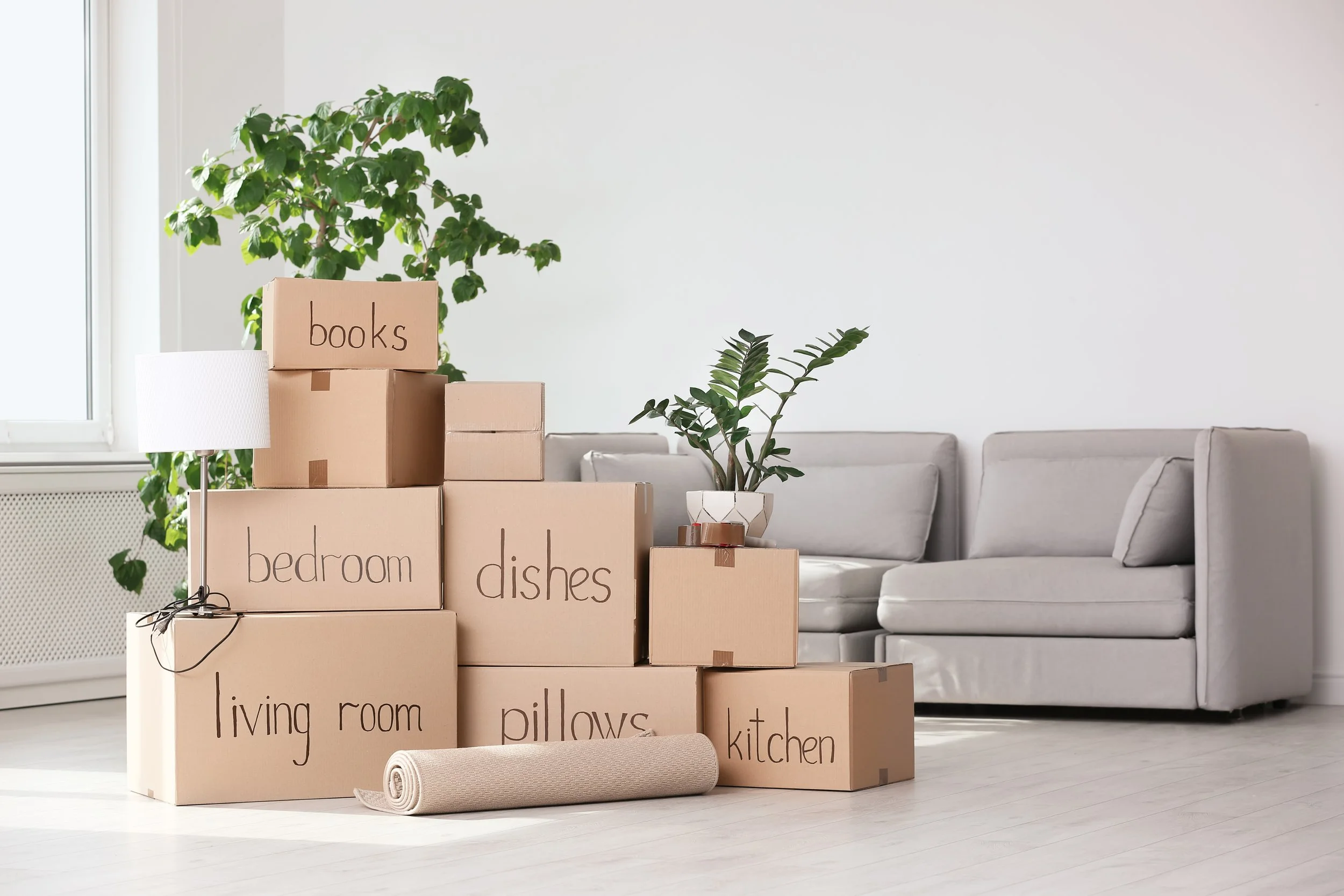 Move-In or Move-Out Cleaning (Before)