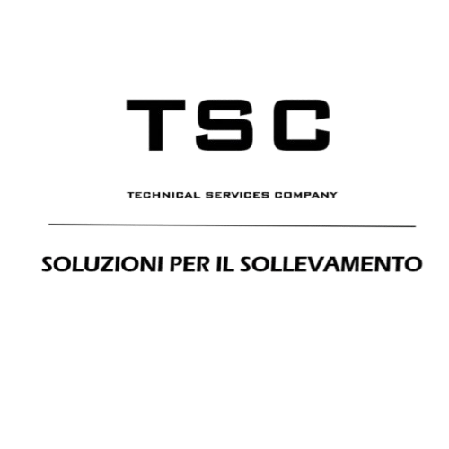 Logo con testo 'TSG' e 'Soluzioni per il sostegno'.