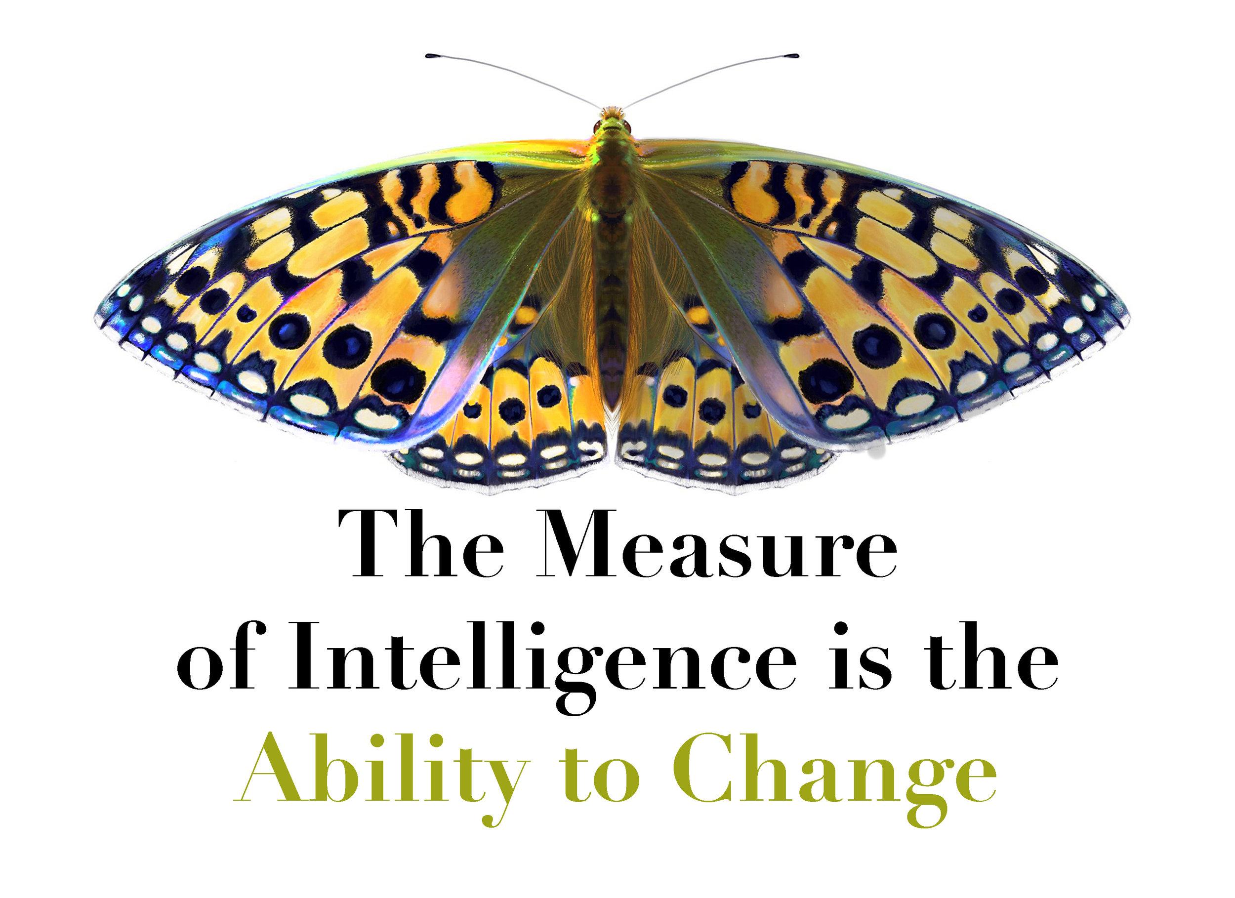Close-up of a colorful butterfly with yellow, black, and blue patterns on its wings, overlayed with text that reads, 'The Measure of Intelligence is the Ability to Change.'