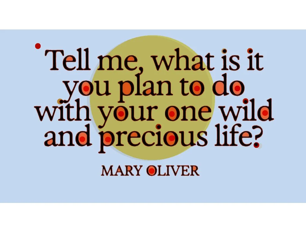 Quote by Mary Oliver asking, 'Tell me, what is it you plan to do with your one wild and precious life?' with highlighted red dots on some letters, blue background, yellow circle behind text.