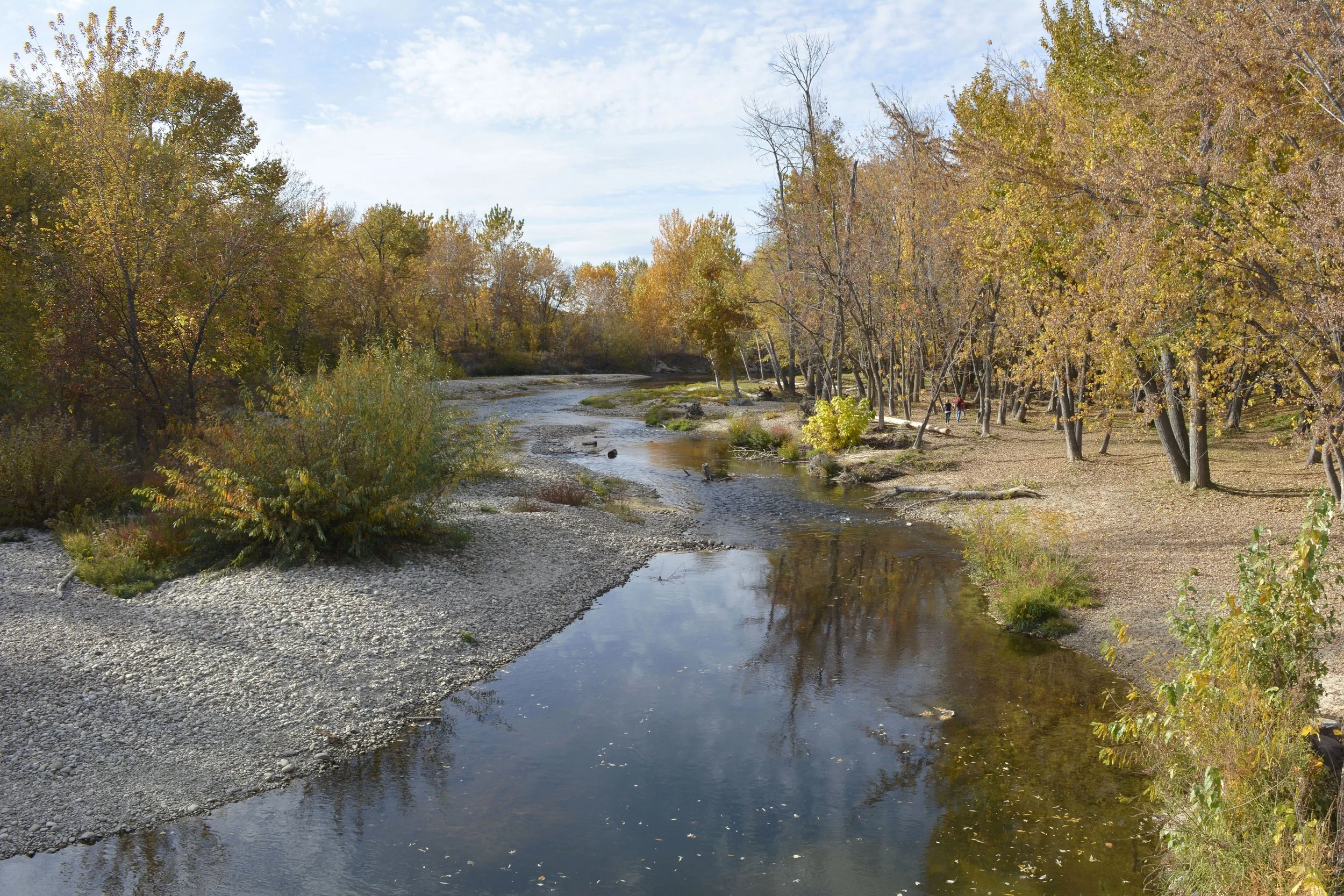 A scene on the Boise river in Boise, Idaho photographed by Susan Borsch of an Autumn day with colorful fall foliage.