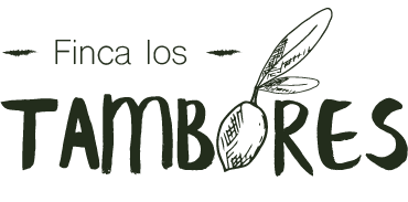 Título de tu sitio