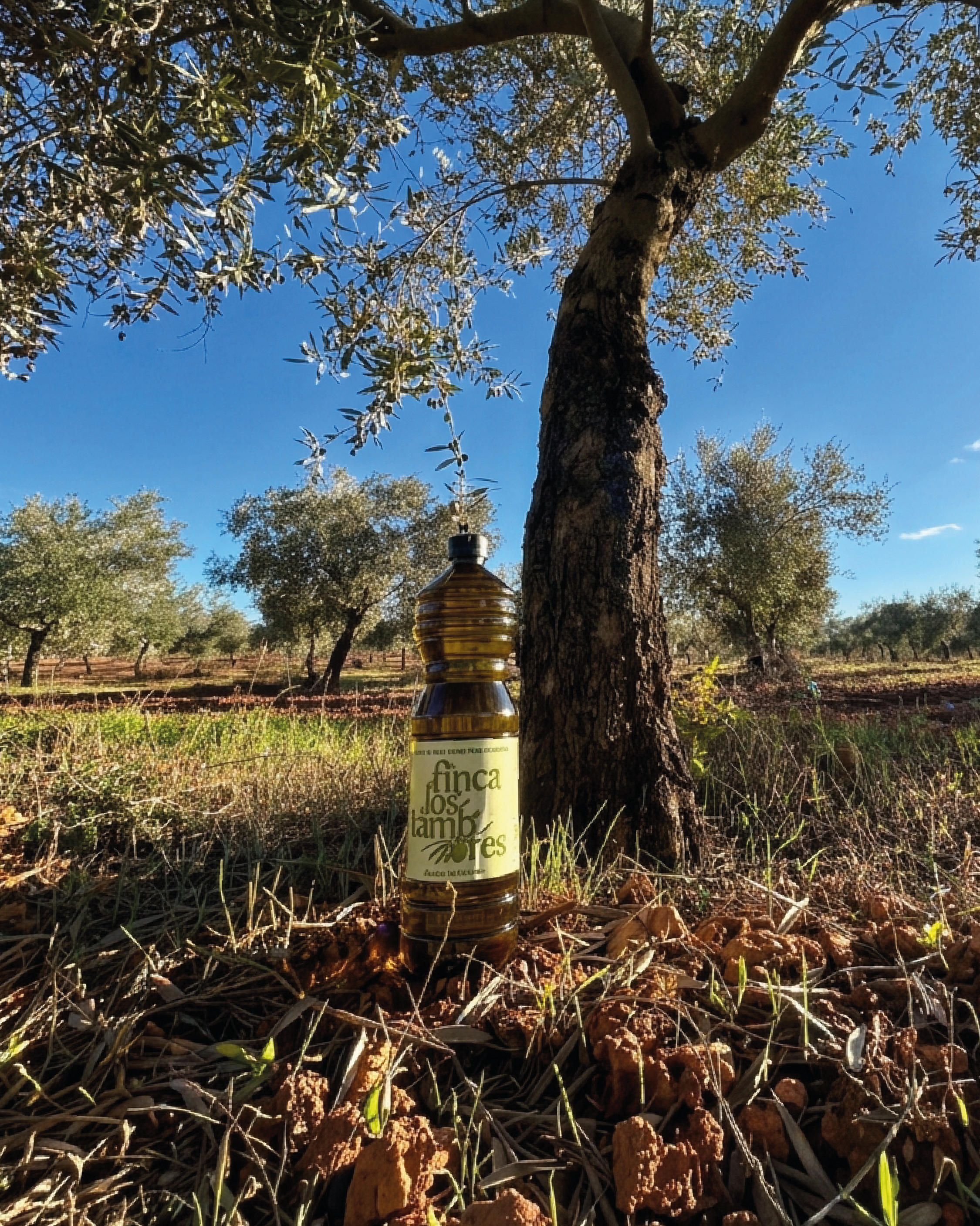 Aceite1L-47.png