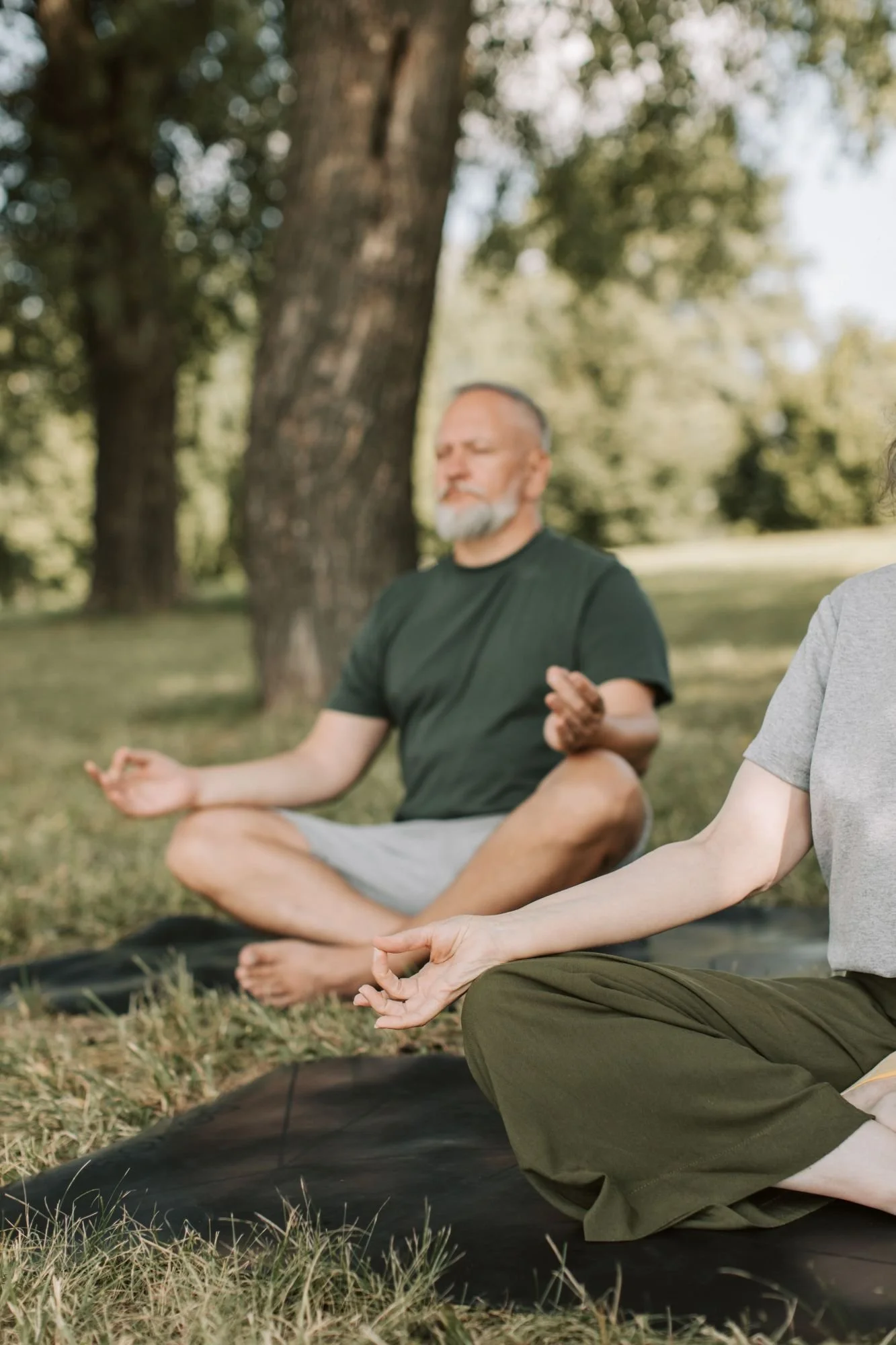 People practicing yoga outdoors in a park, sitting cross-legged on mats with serene expressions, surrounded by trees and greenery.