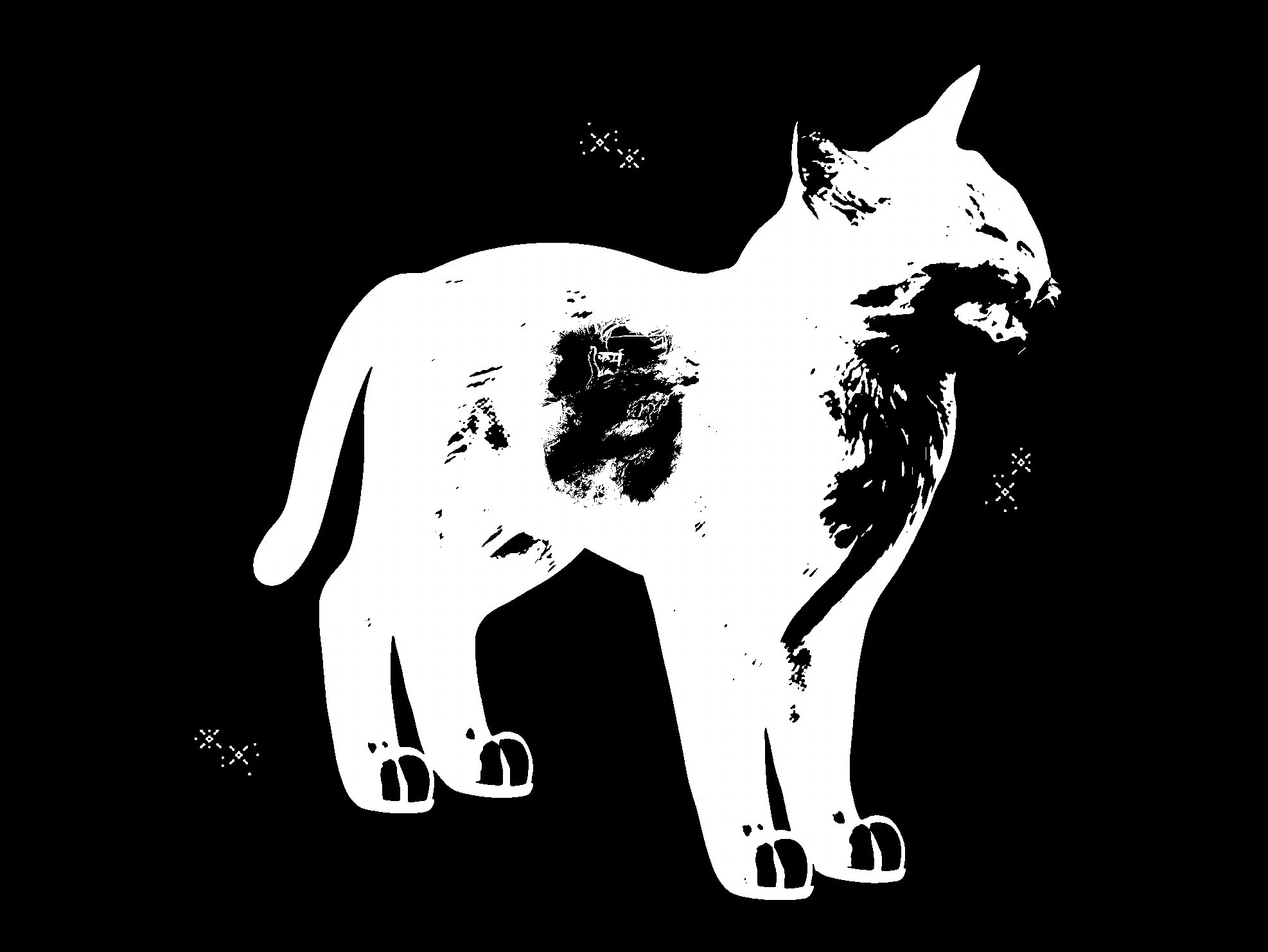 Black and white silhouette of a cat against a black background with small decorative elements around.