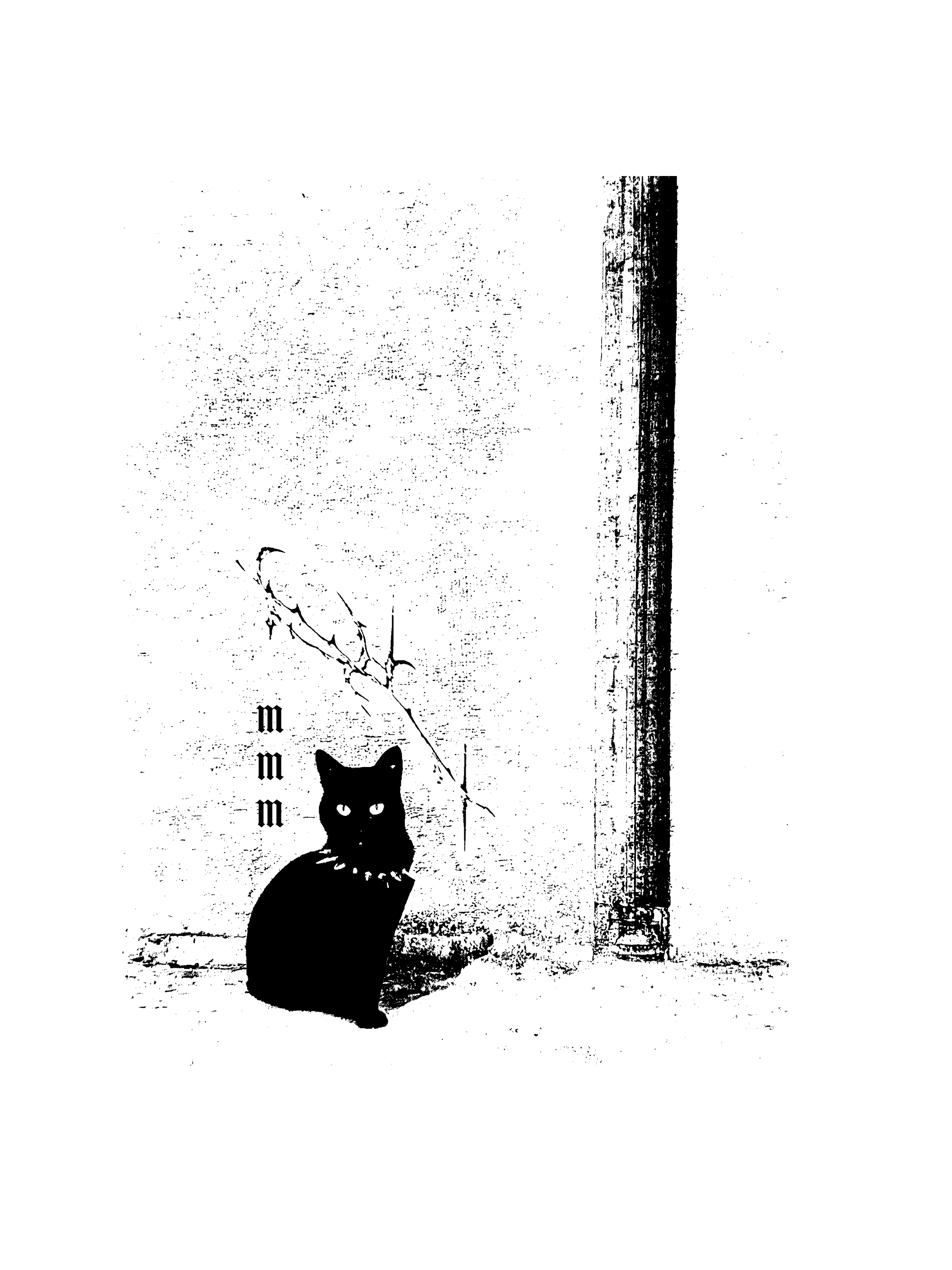 mmm punk cat design.png