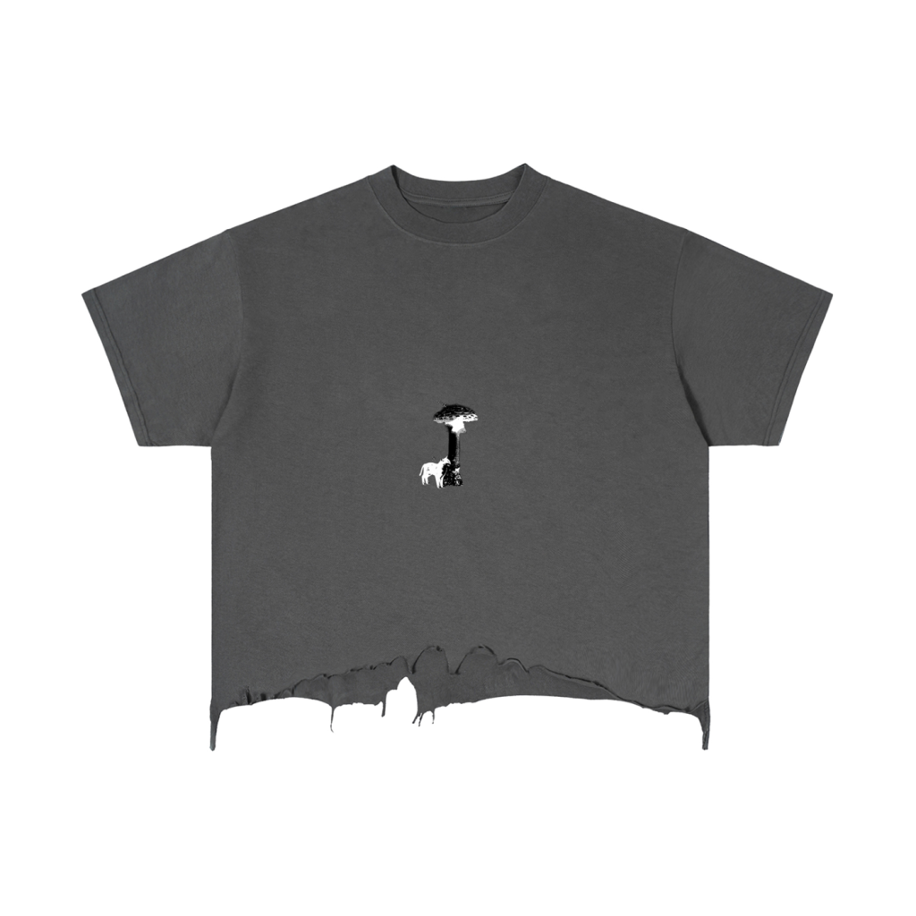 'Mushroom' Unisex Vintage Wash Distressed Boxy Tee