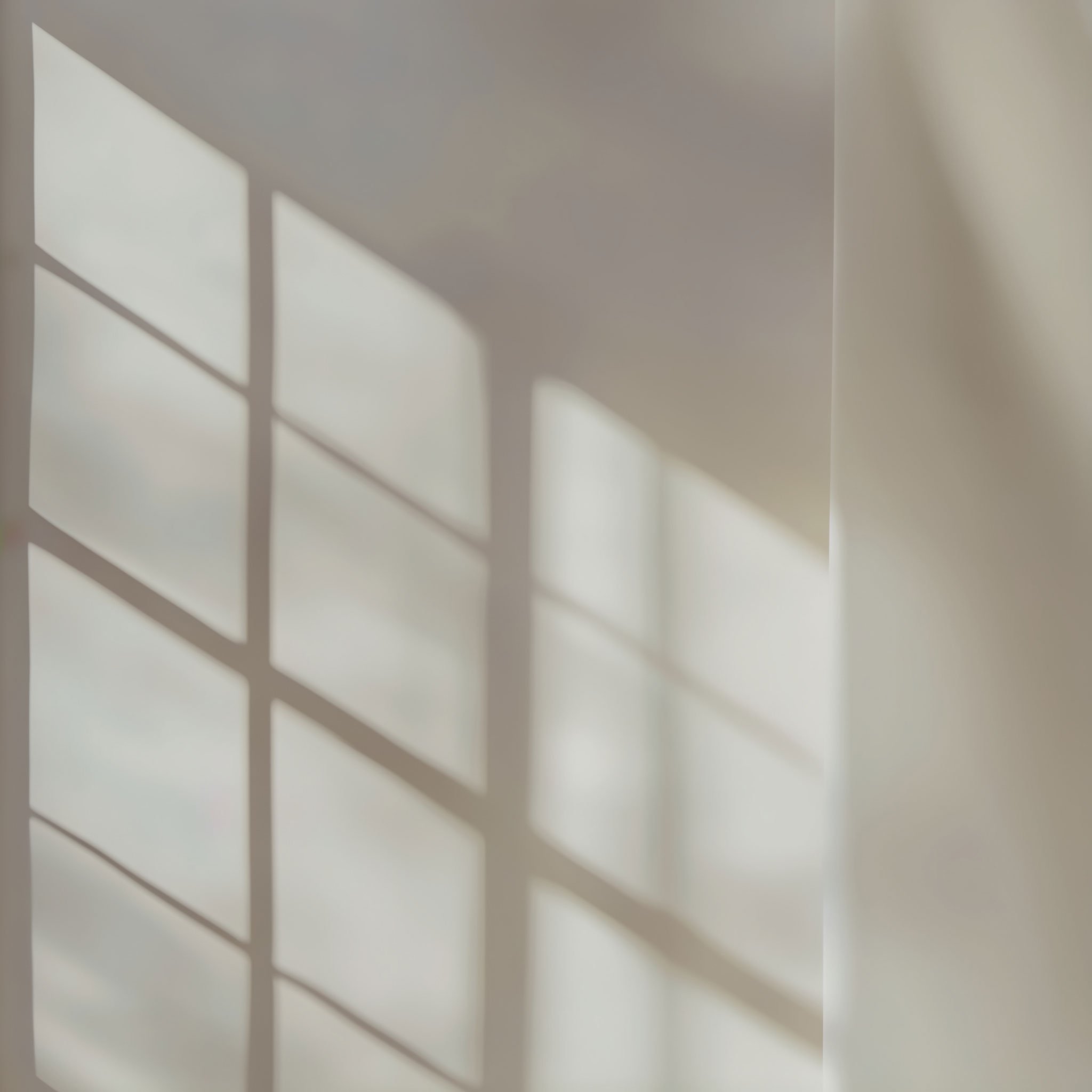 Digital Product No.1