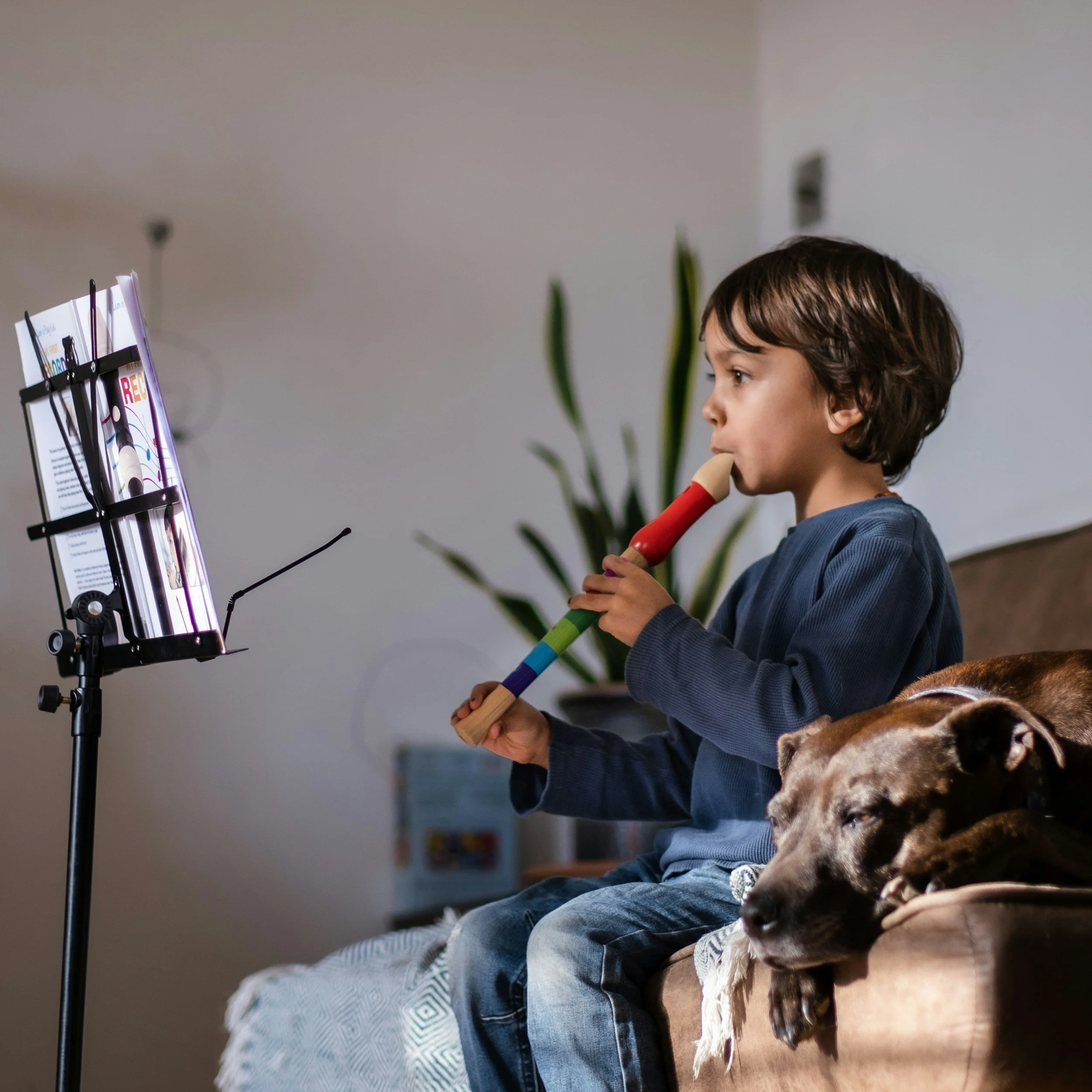 A young boy wearing a gray jacket sitting on a group of brown dogs. The boy appears to be playing a recorder, and there is a music stand with sheets of music in front of him. A plant with tall green leaves is visible in the background.