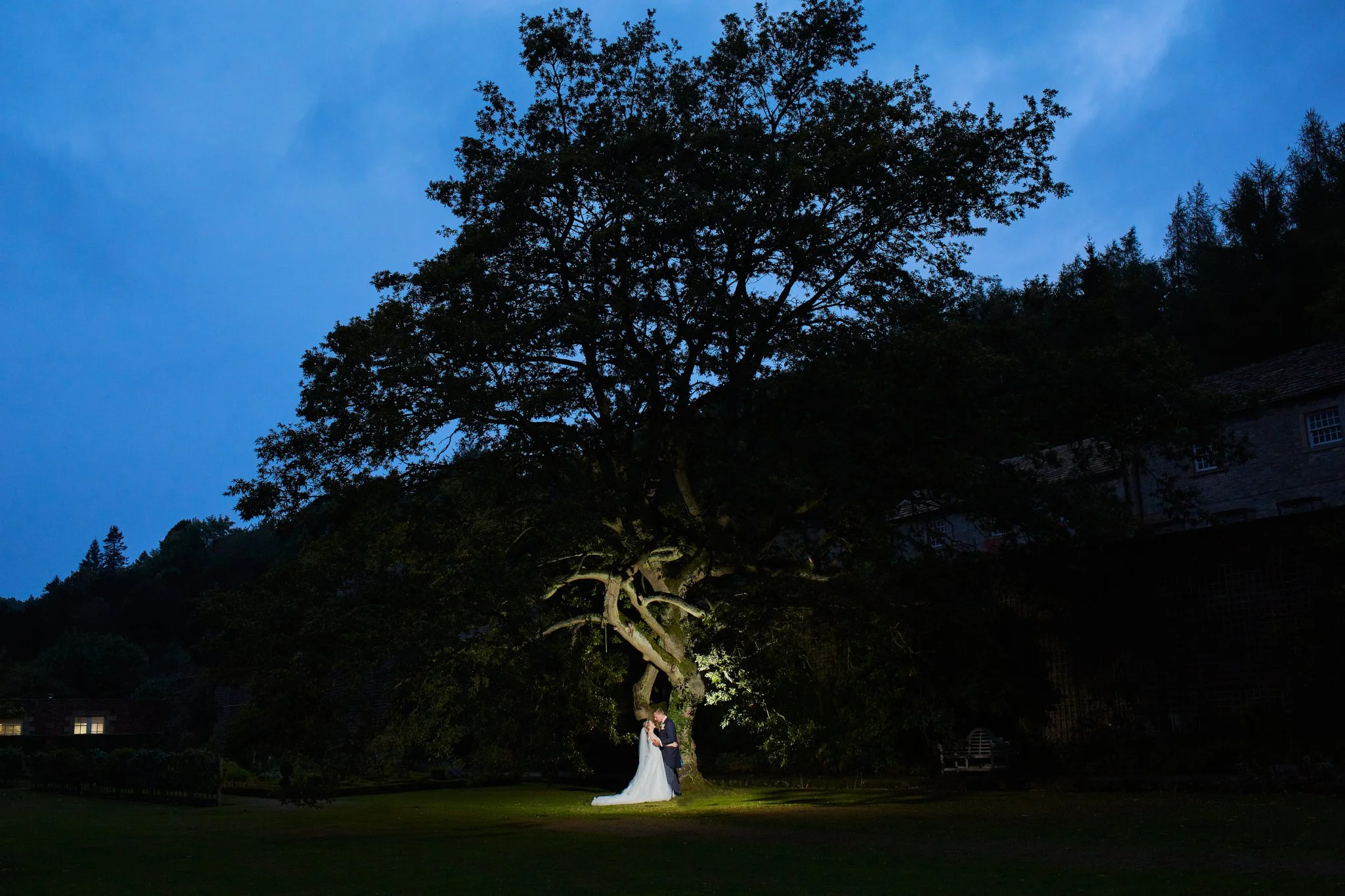 A bride and groom standing together under a large illuminated tree during dusk at an outdoor wedding ceremony.