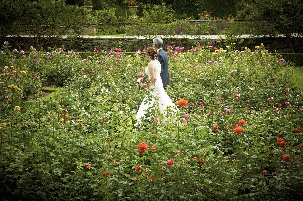 Bride and groom walking through a garden filled with colorful blooming roses.