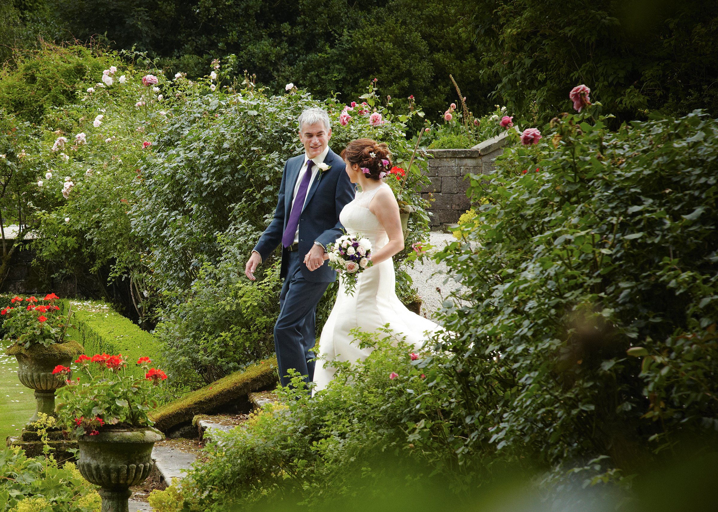A bride and groom walking through a lush garden filled with blooming pink roses and greenery during their wedding.