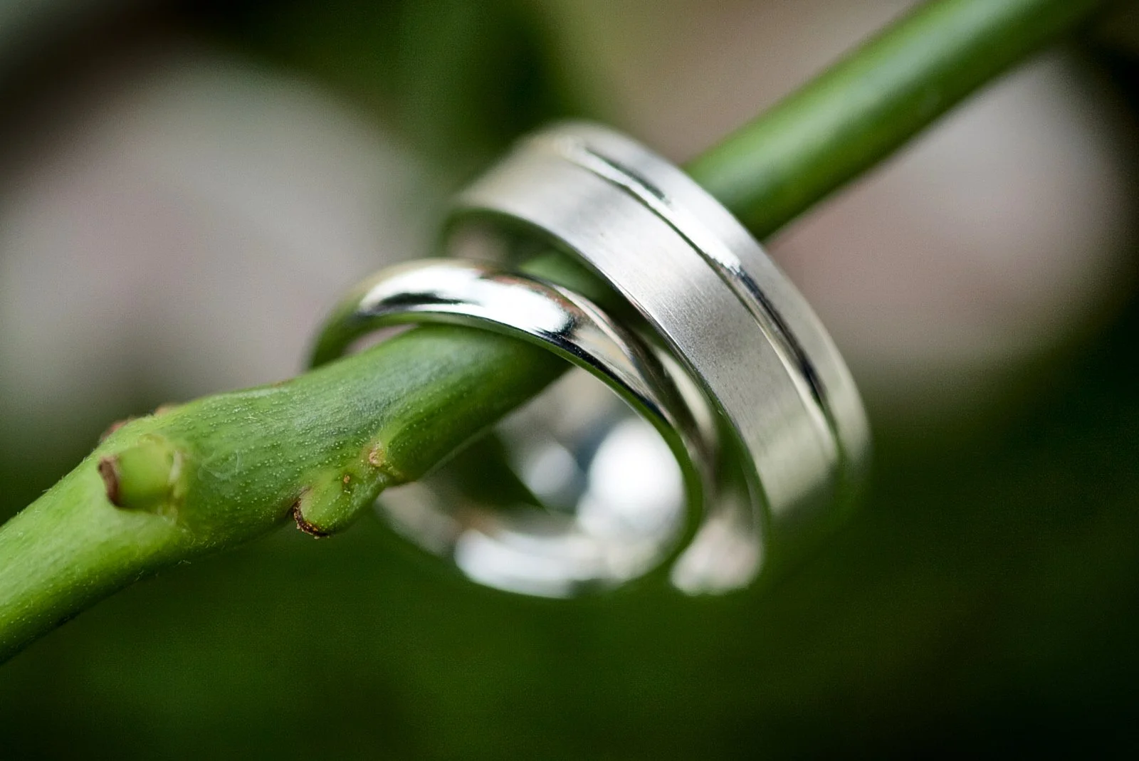 WEDDING RINGS ON FLOWER STEM