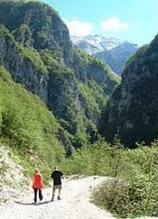 IMG_5285.jpeg