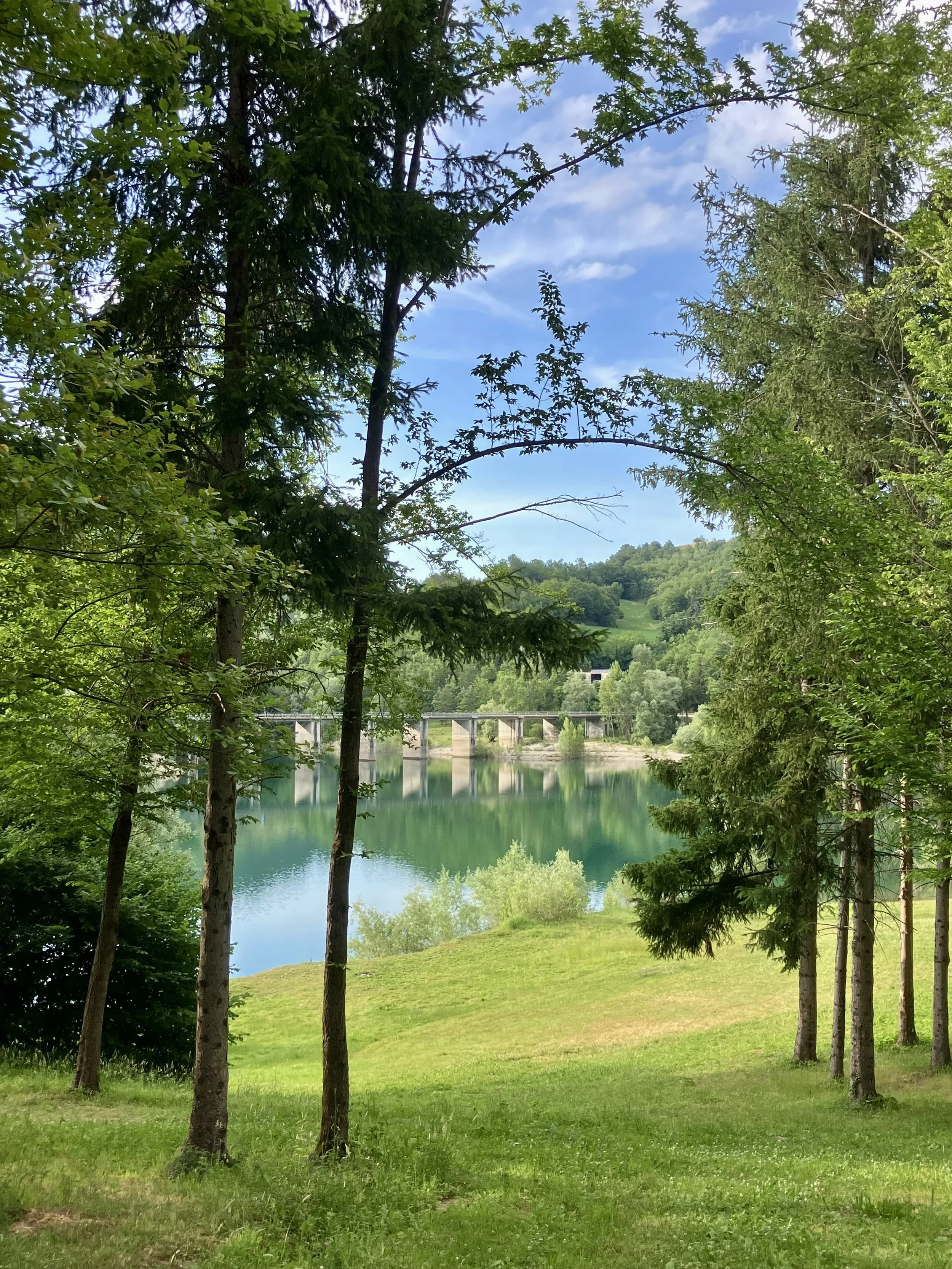 IMG_2971.jpeg