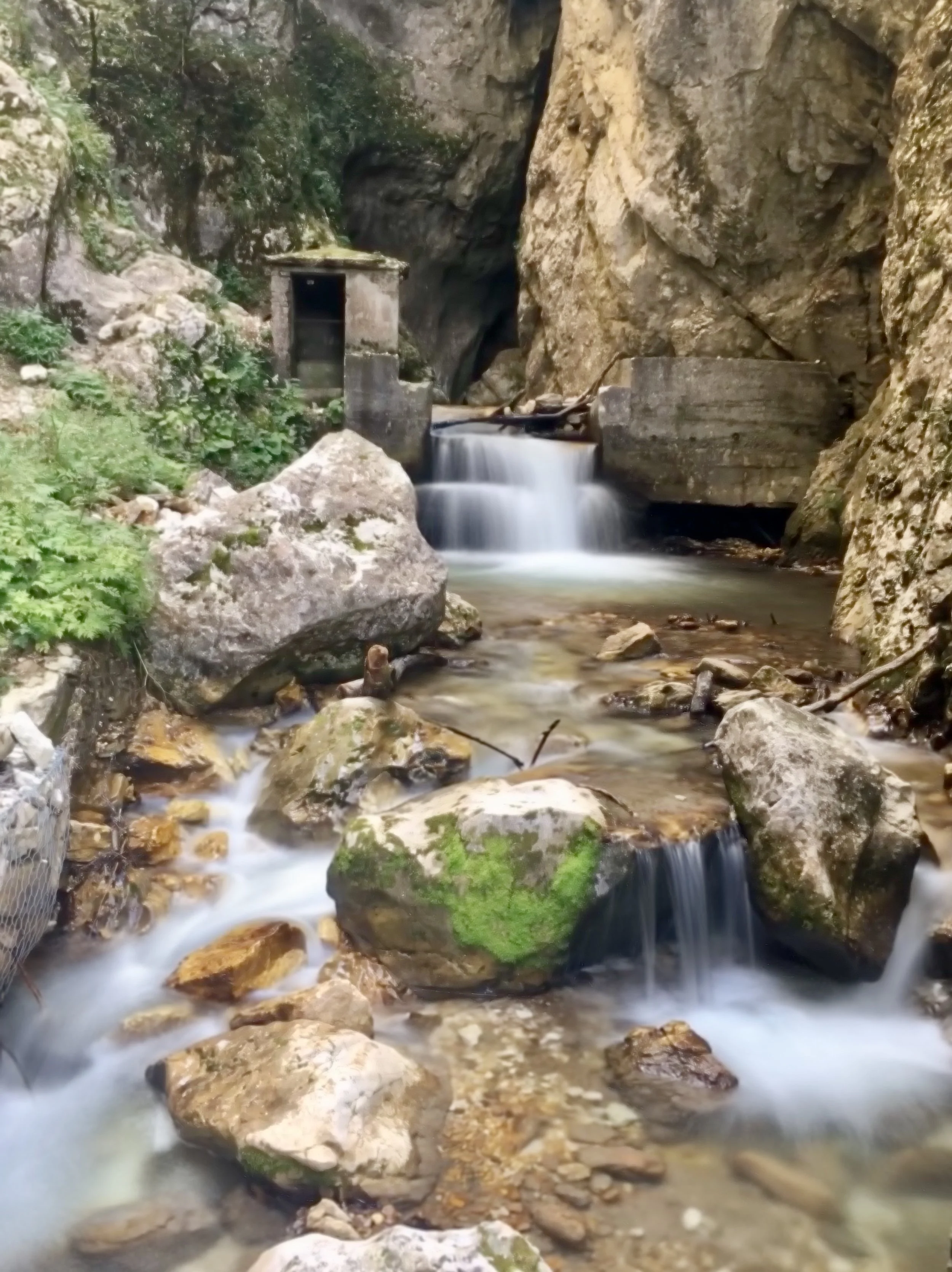 60A2448E-3463-4BD3-8D96-EEE02EF706AB2018-07-30_16-31-27_592.jpeg