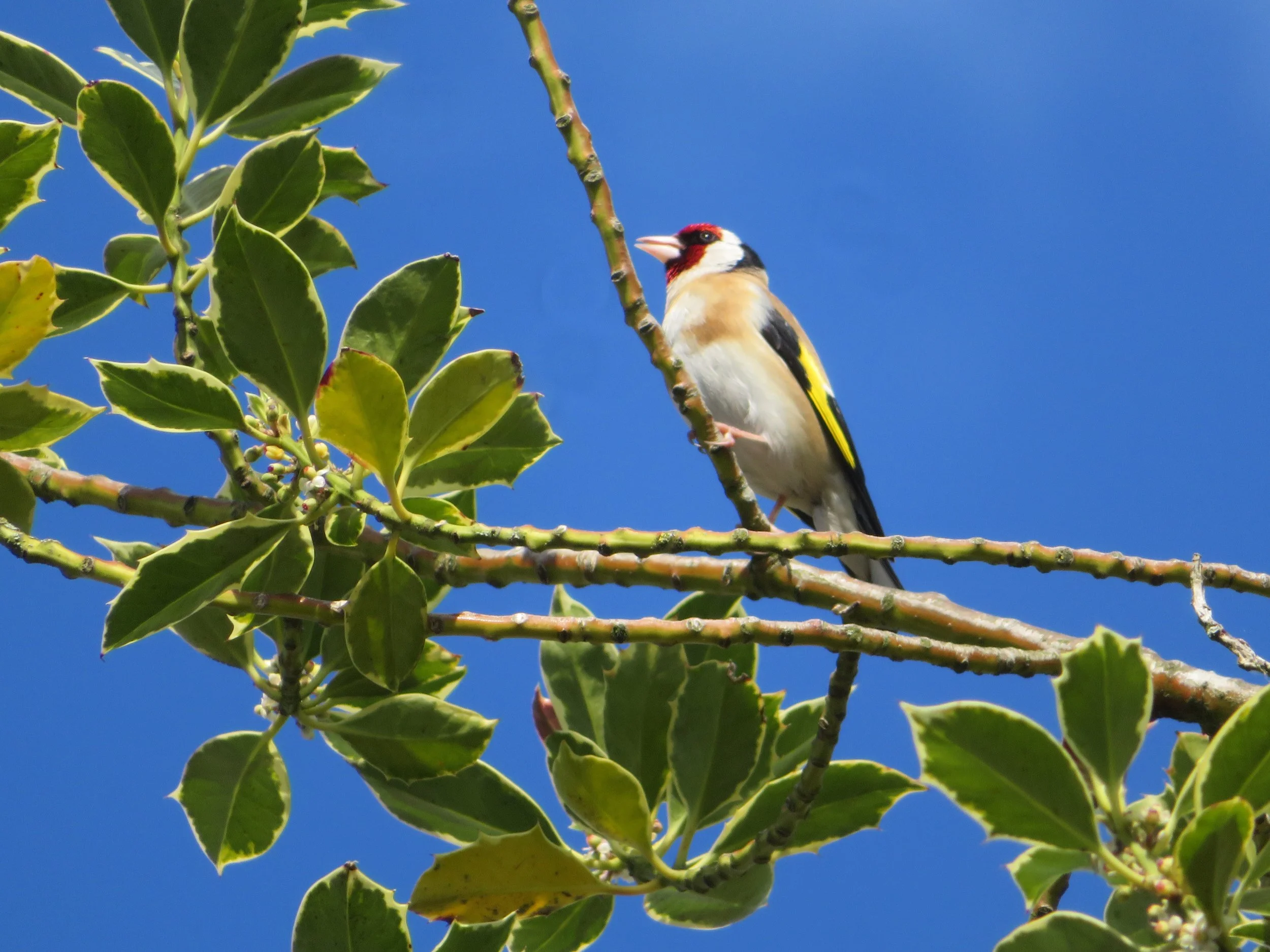 D2EB66BA-1CC8-4624-B4D5-7C34F7340A172022-05-28_17-42-22_200.jpeg