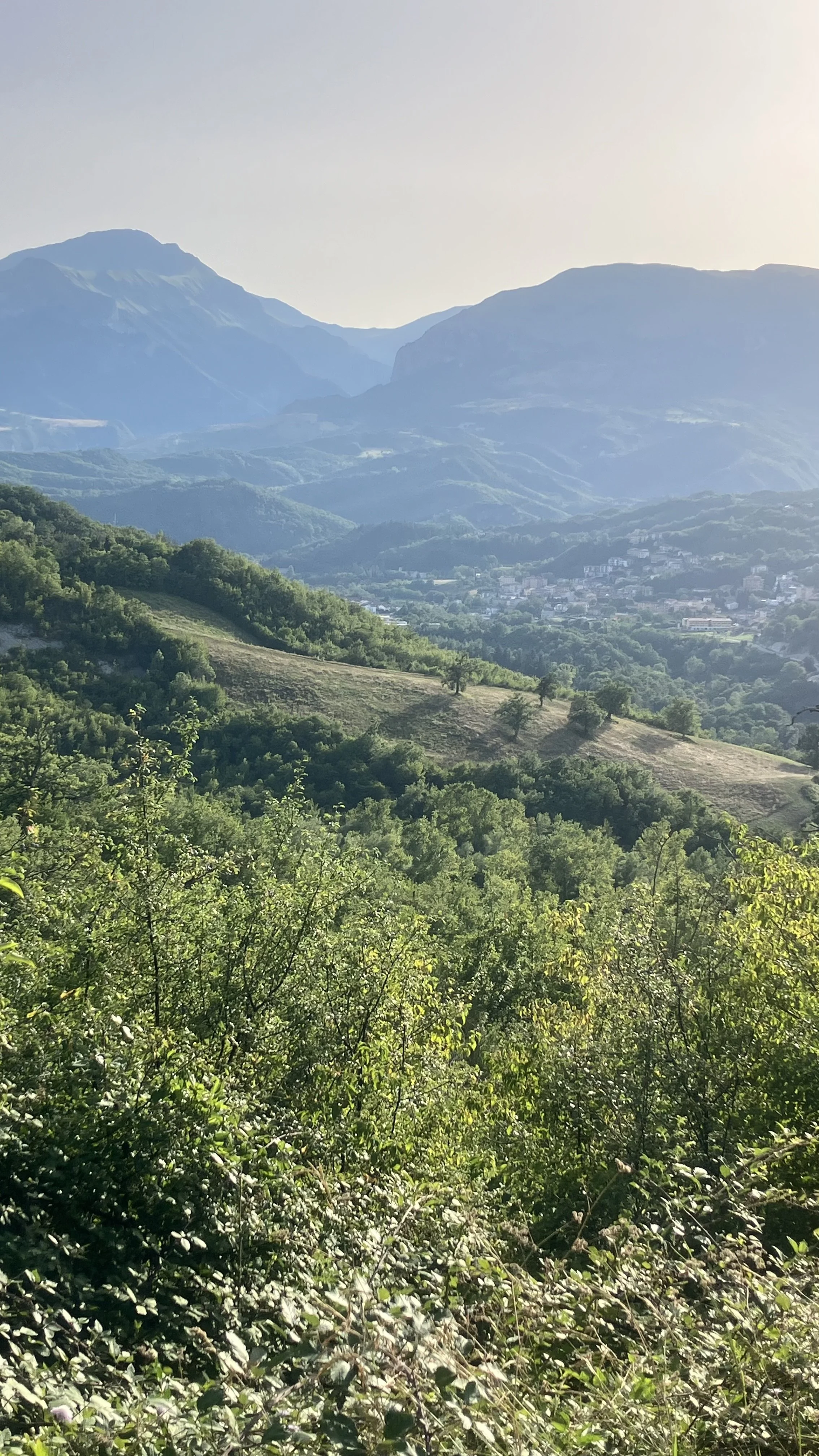 IMG_5972.jpeg