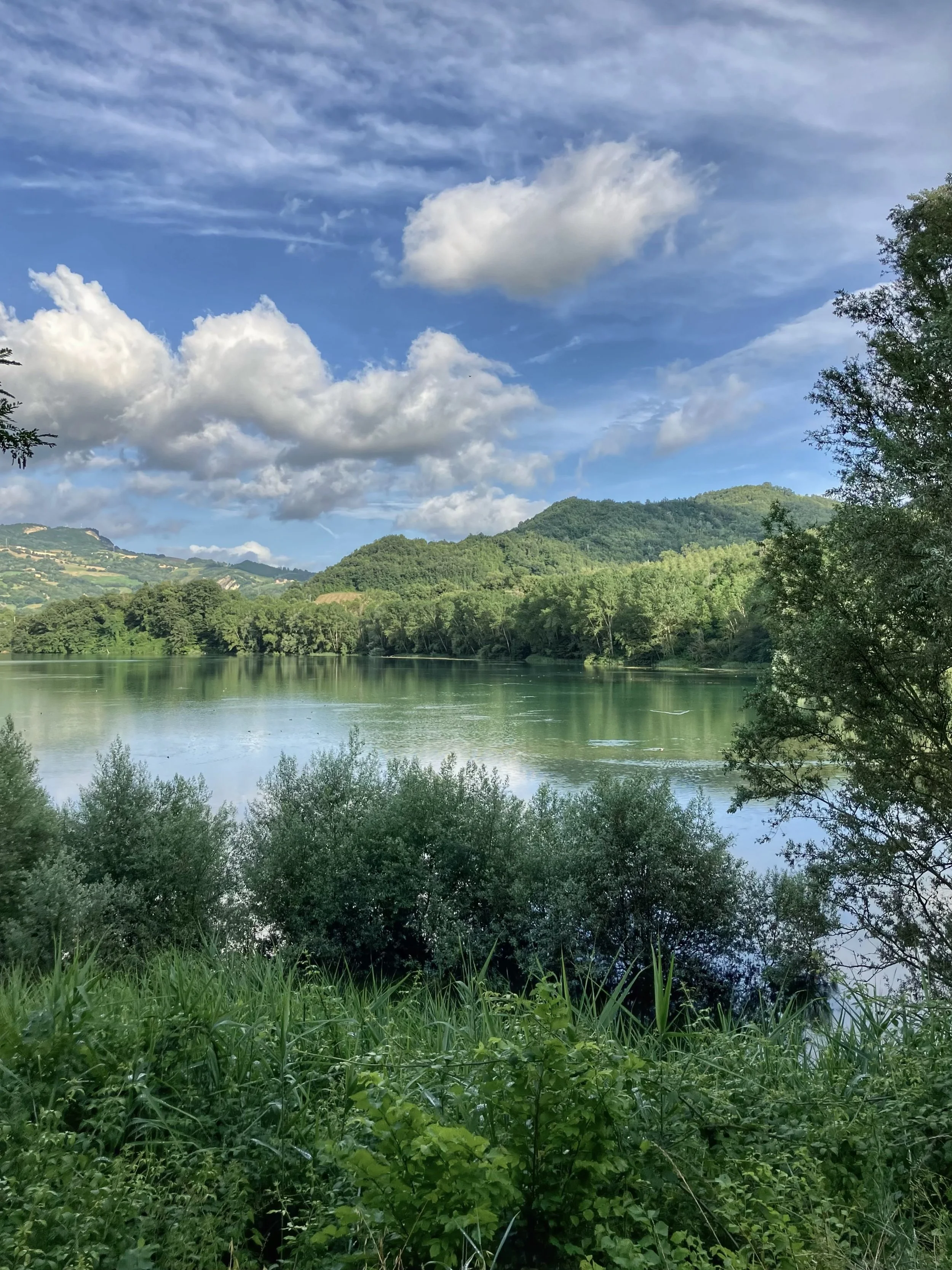 IMG_3770.jpeg