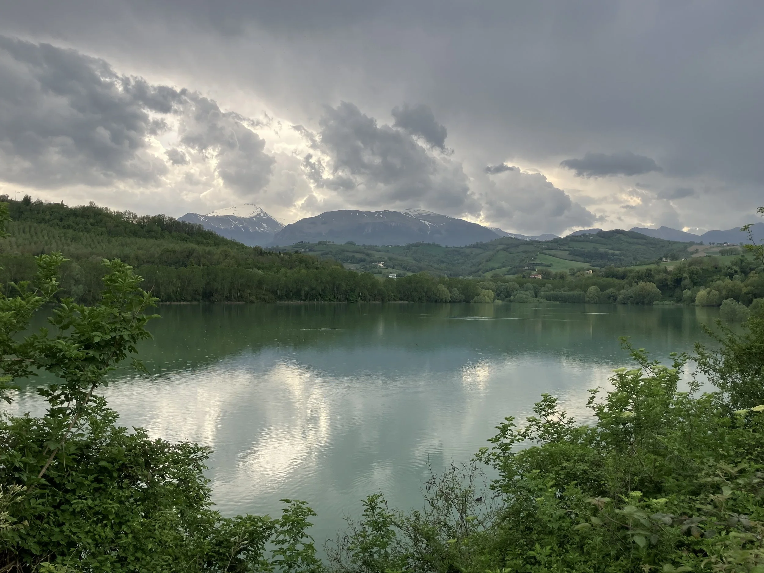 IMG_0198.jpeg