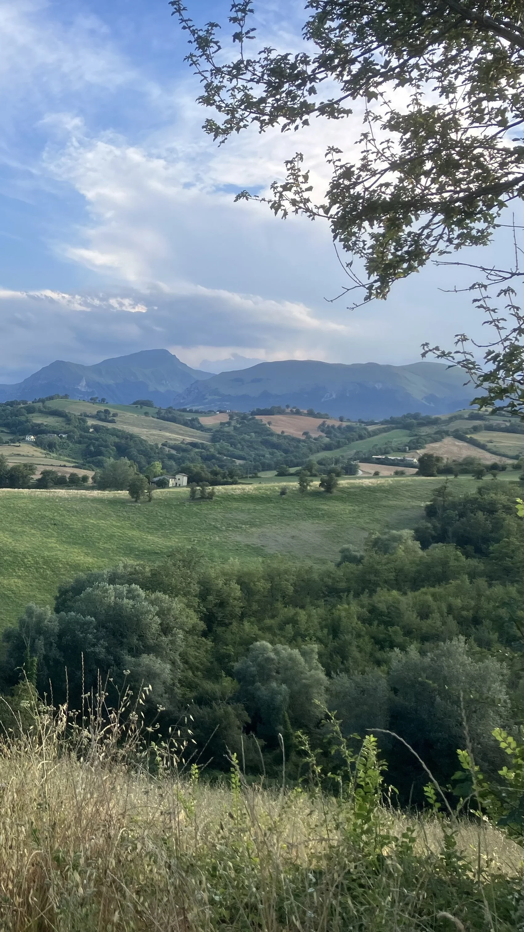 IMG_4031.jpeg