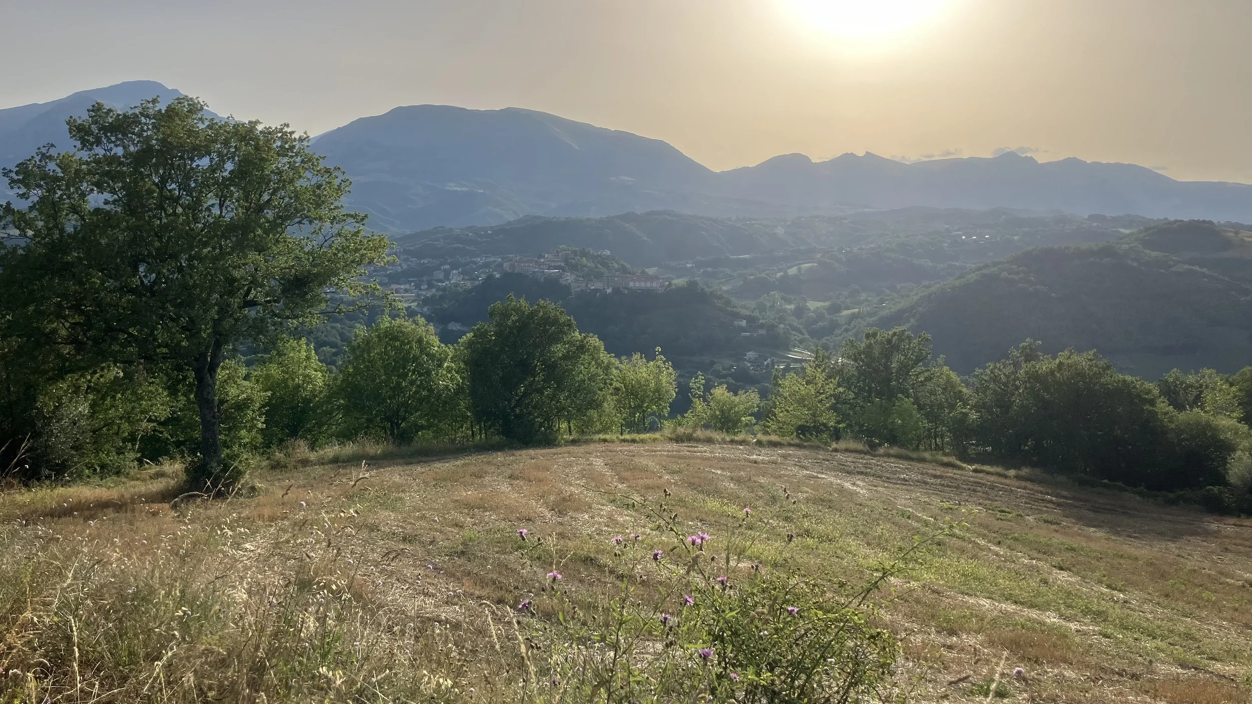 IMG_5973.jpeg