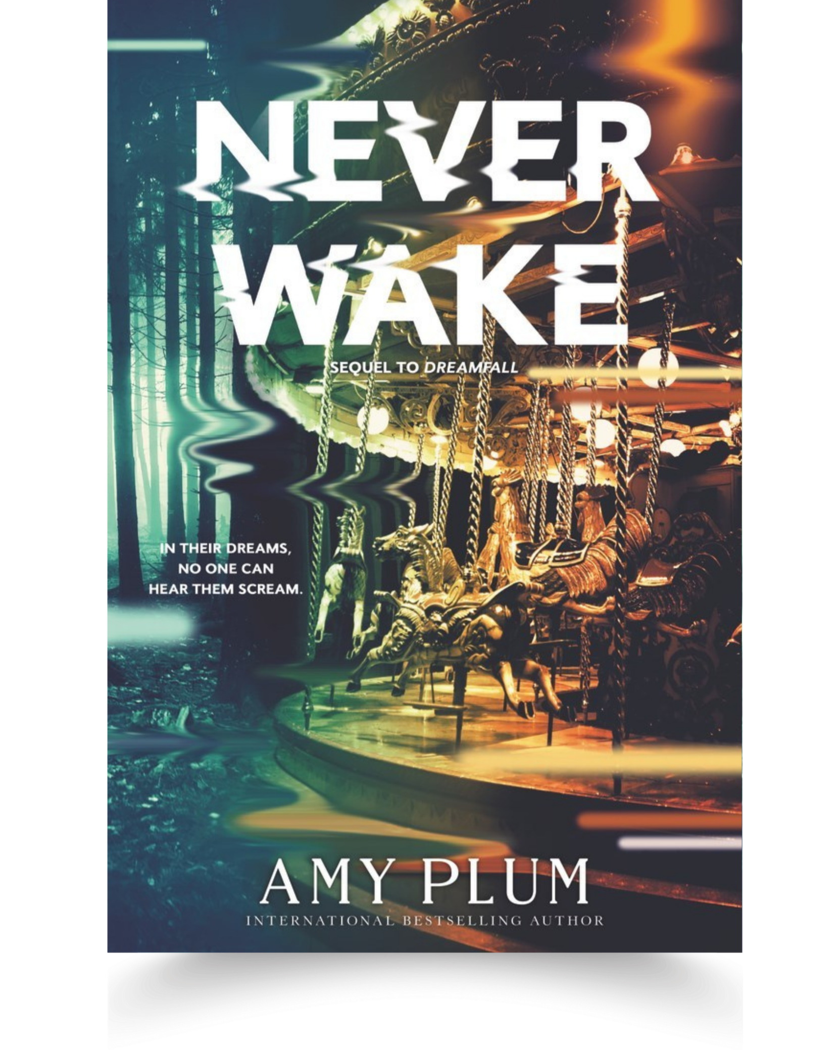 Book cover for 'Never Wake' by Amy Plum with an image of an amusement park ride at night. The title 'Never Wake' appears at the top, and the author's name 'Amy Plum' is at the bottom. The background features blurred lights and a dark, mysterious atmosphere.