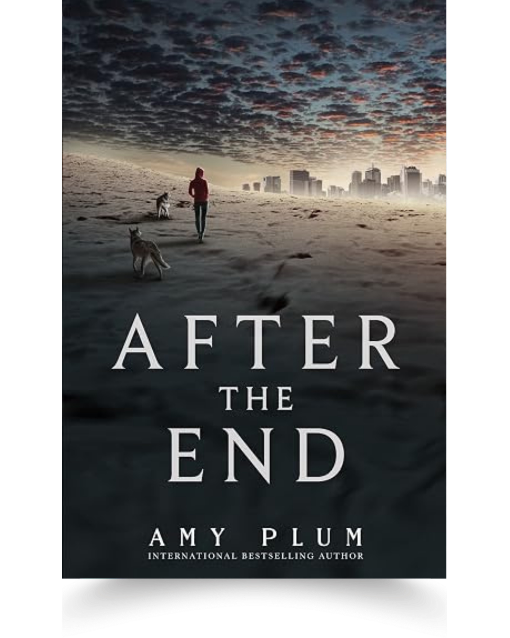 The book cover of 'After the End' by Amy Plum features a person walking dogs on a sandy beach with a city skyline in the background. The sky is filled with dark, textured clouds. The title and author's name are displayed prominently on the cover.
