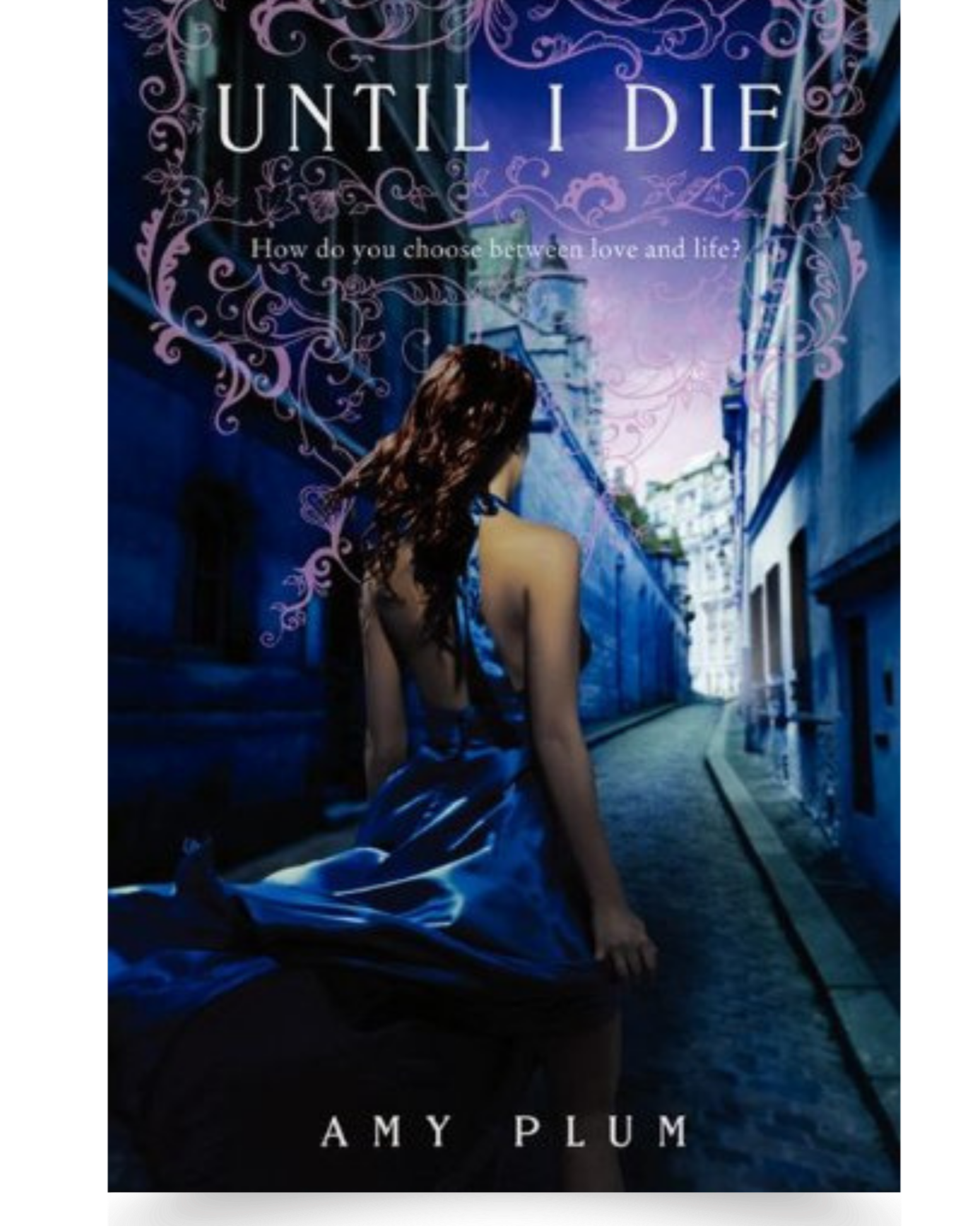 The cover of the book titled 'Until I Die' by Amy Plum, featuring an image of a woman with long hair seen from behind, sitting outdoors with a cityscape and sky in the background.