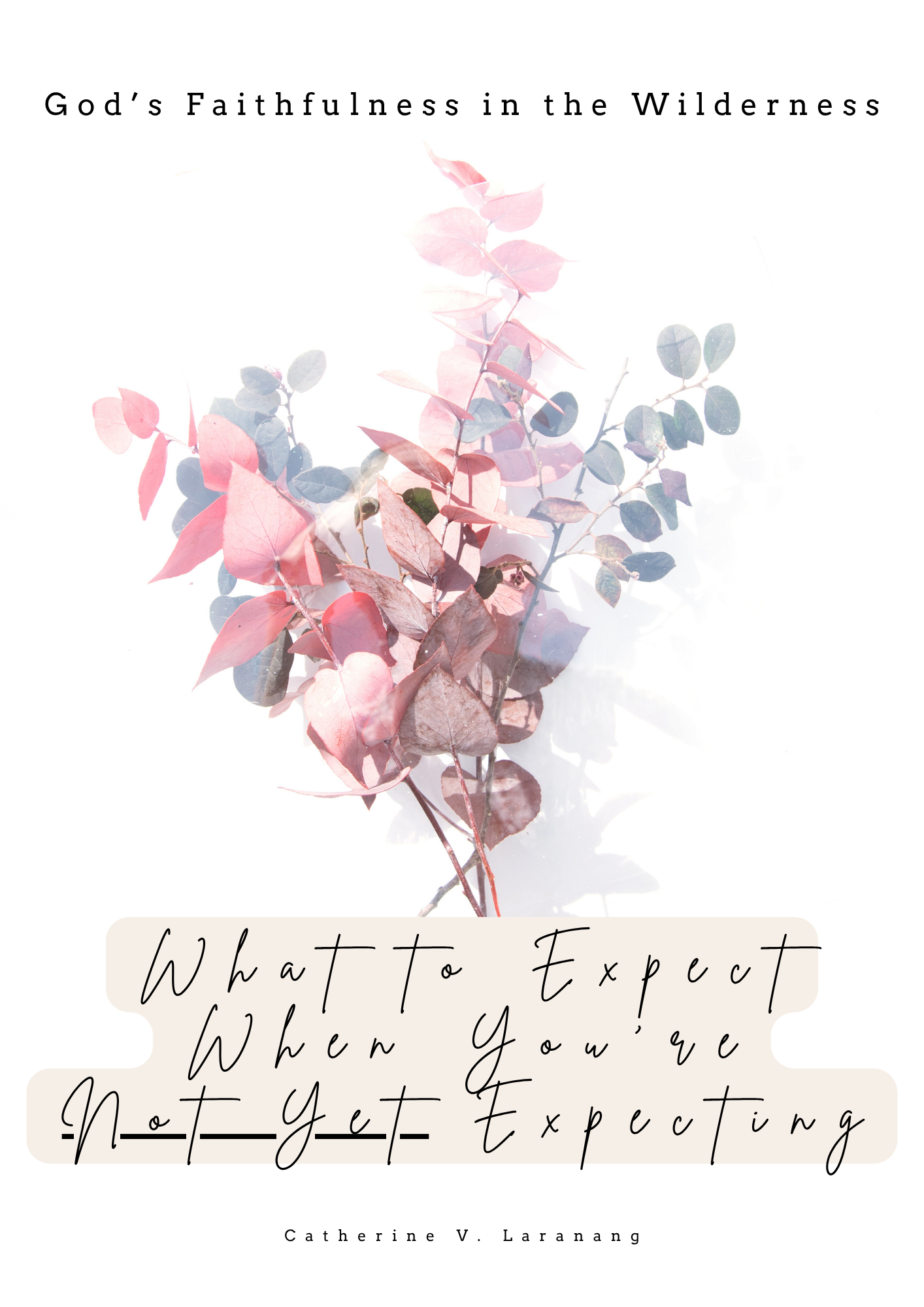 Book cover titled 'God's Faithfulness in the Wilderness' with a plant illustration and the subtitle 'What to Expect When You've Not Yet Expecting' by Catherine V. Laranang.