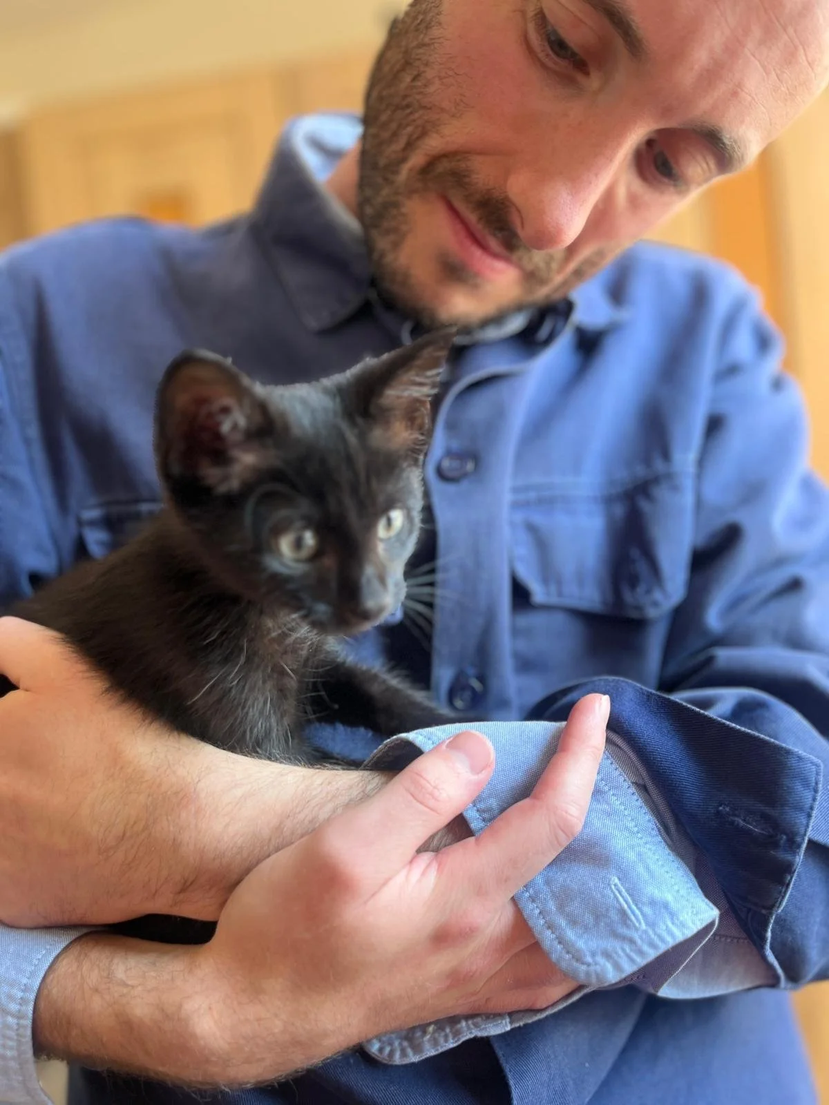 A man in a blue denim shirt holding a small black kitten with green eyes.