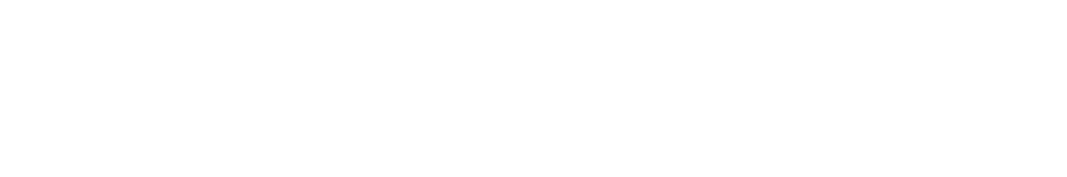 Eclectica Show