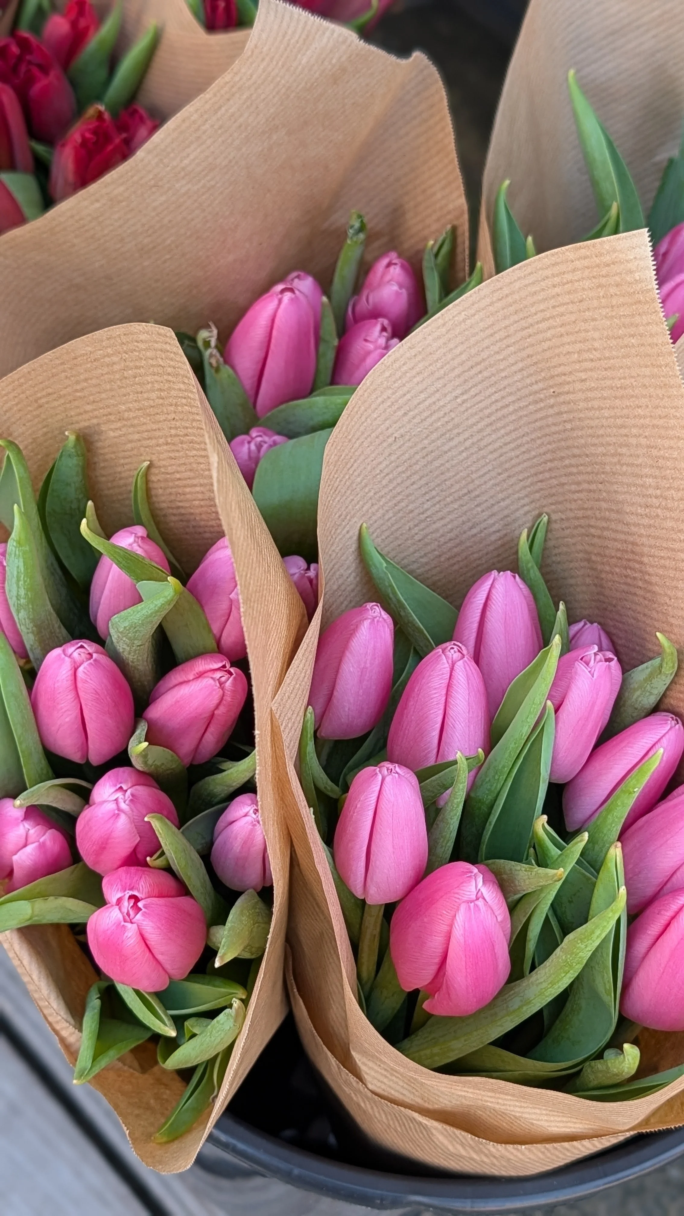 Bouquets of pink tulips wrapped in brown paper.