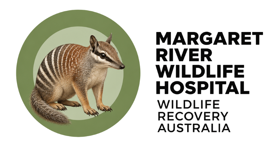 Margaret River Wildlife hospital