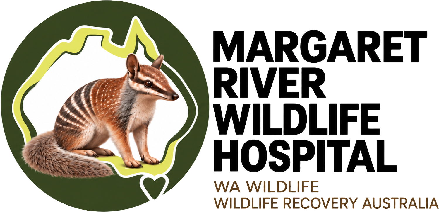 Margaret River Wildlife hospital