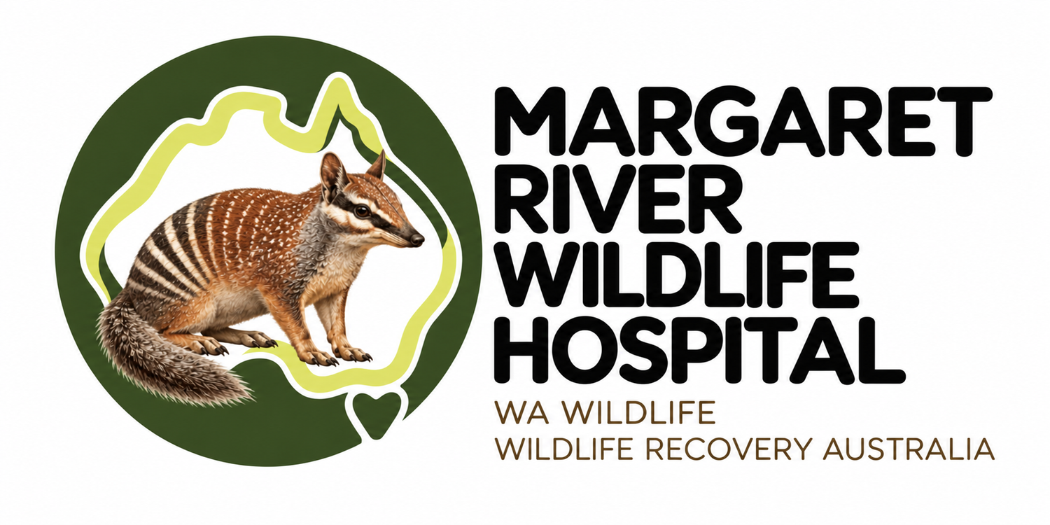 Margaret River Wildlife hospital