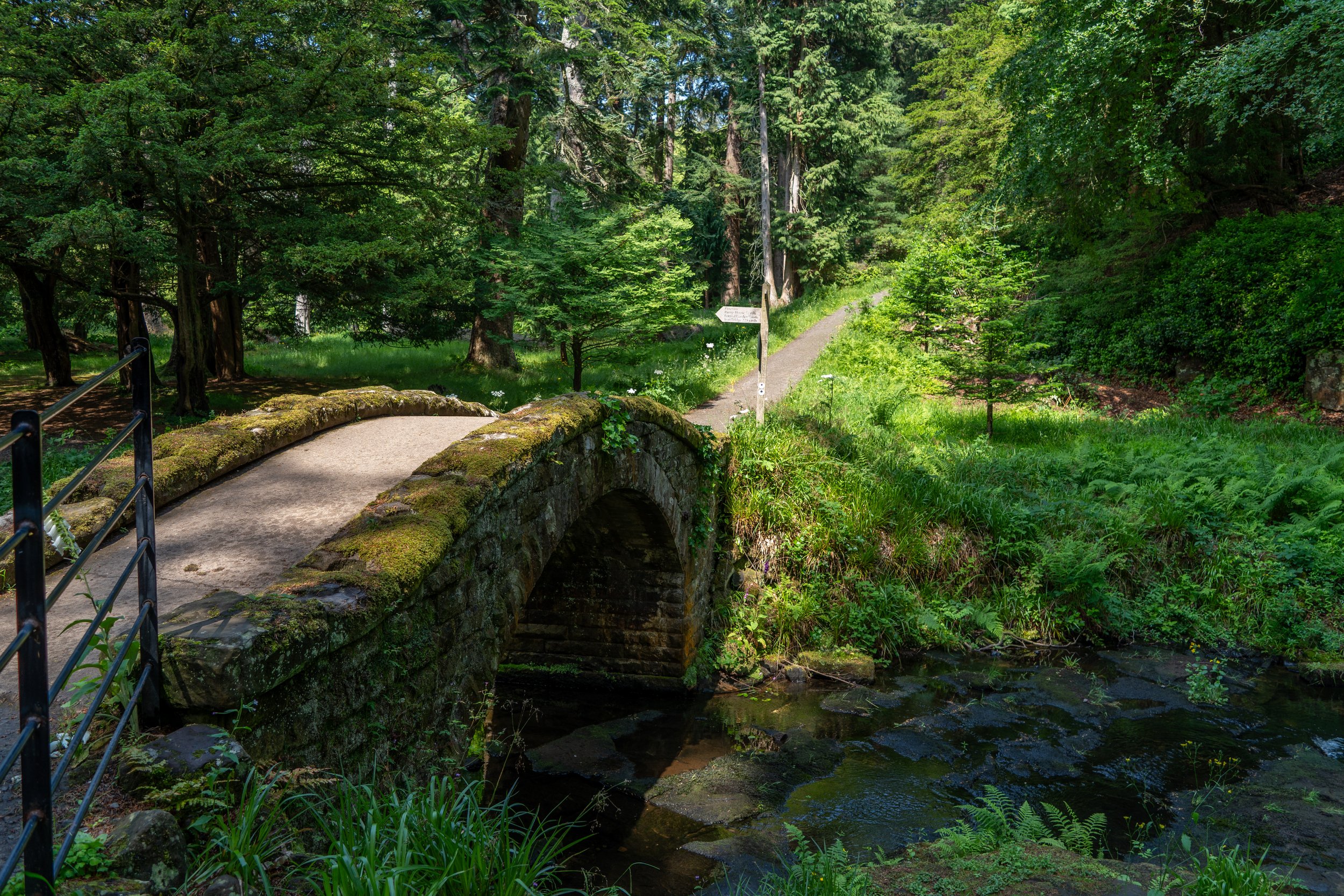 Bridge on Cragside estate