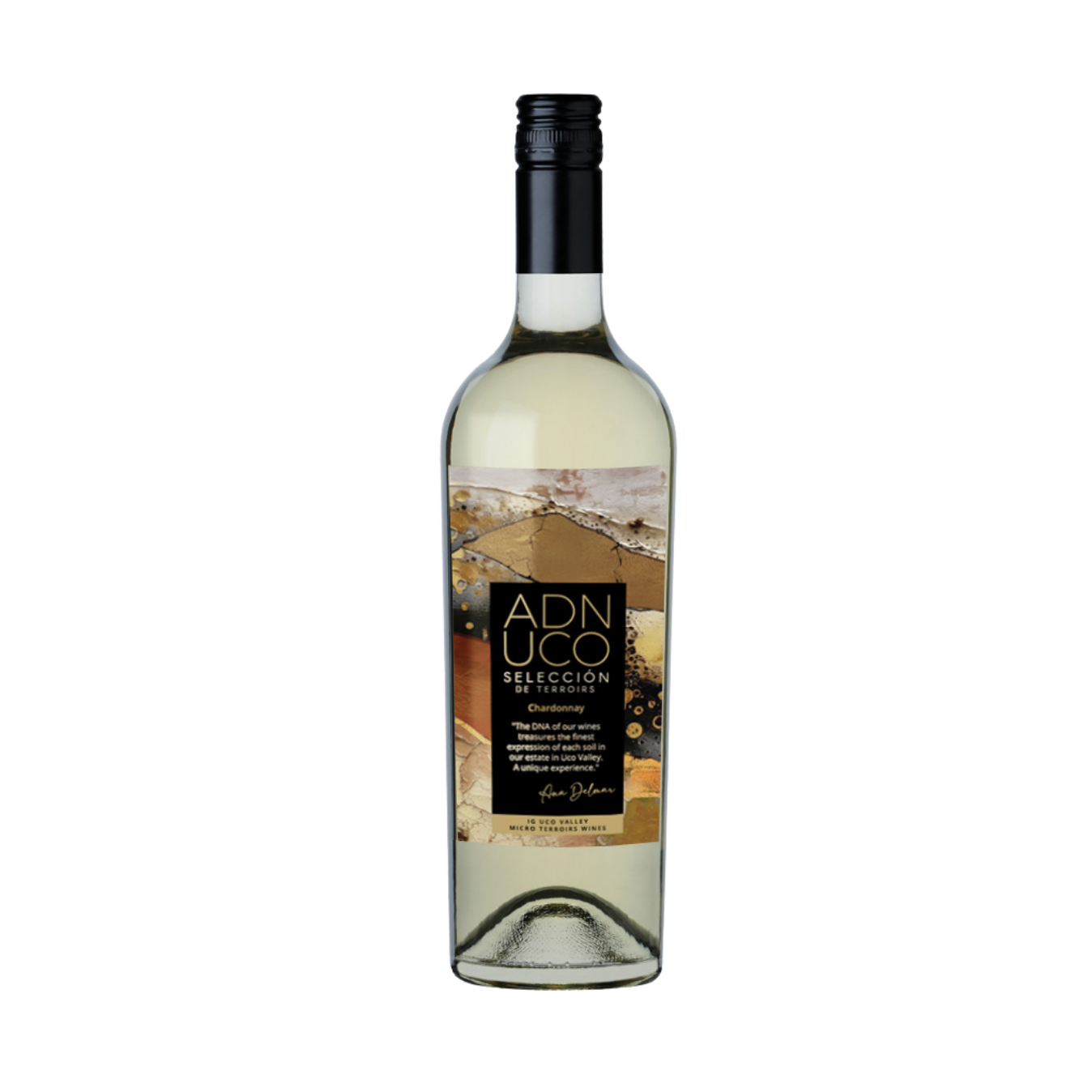    FINCA BUENAVENTURA   Selección Chardonnay  2023 