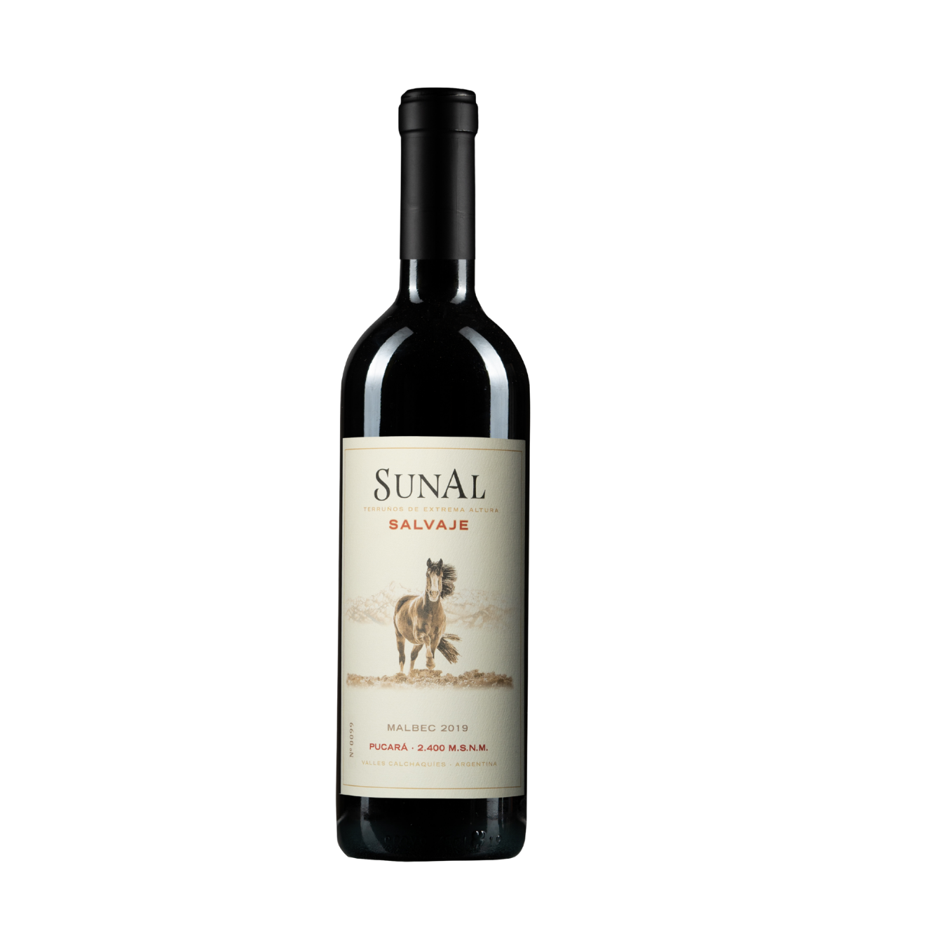    AGUSTÍN LANÚS   Sunal Salvaje Pucará  2019 