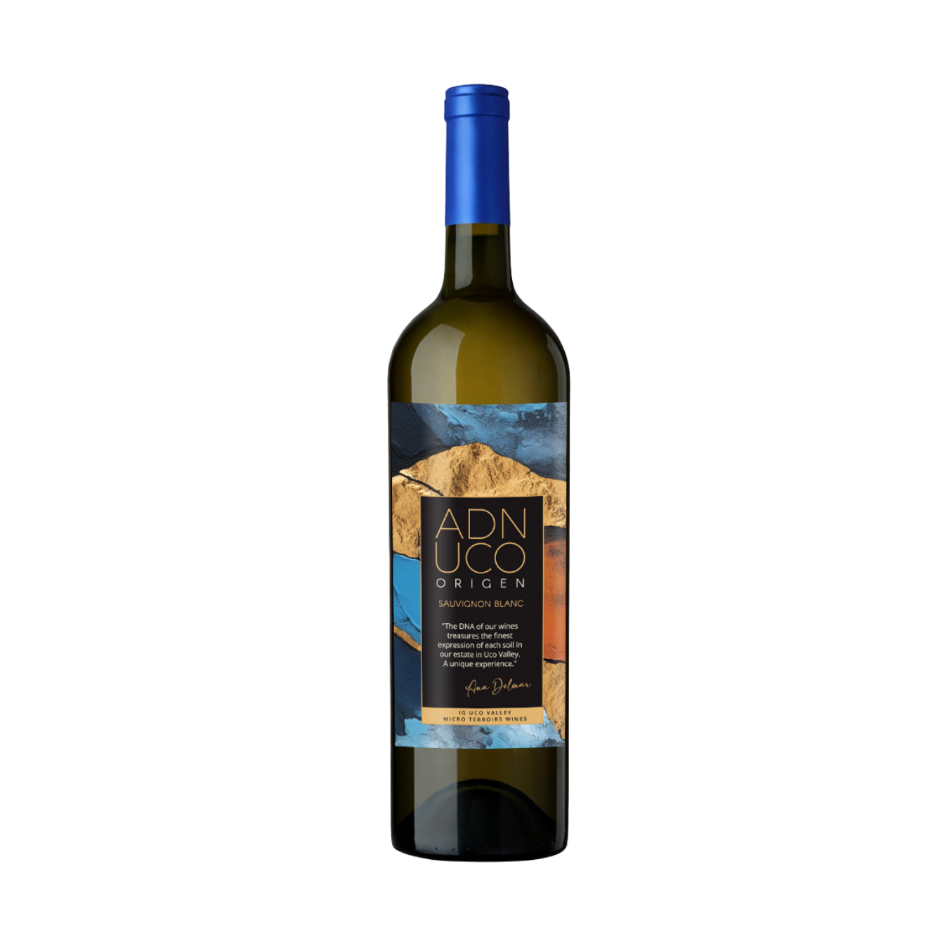    FINCA BUENAVENTURA   Origen Sauvignon Blanc  2025 
