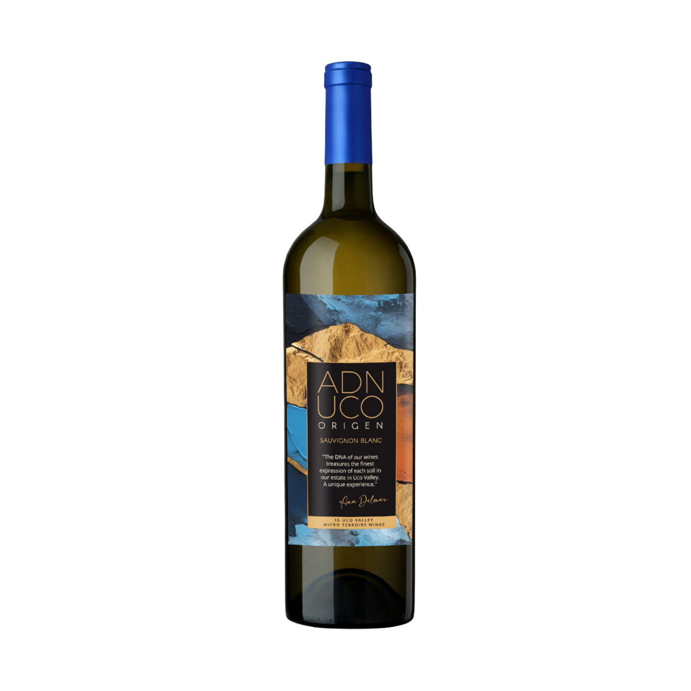    FINCA BUENAVENTURA   Origen Sauvignon Blanc  2025 
