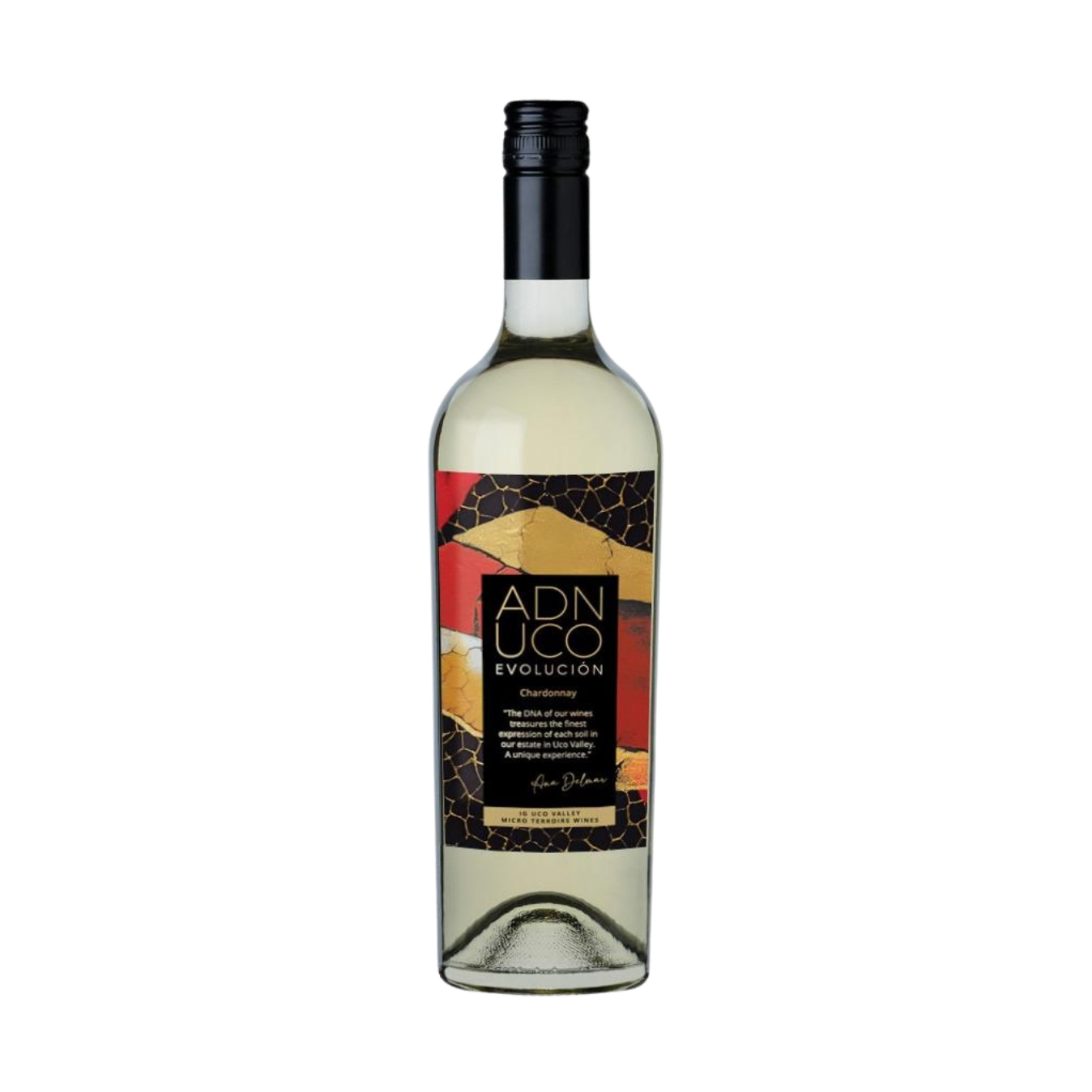    FINCA BUENAVENTURA   Evolución Chardonnay  2023 