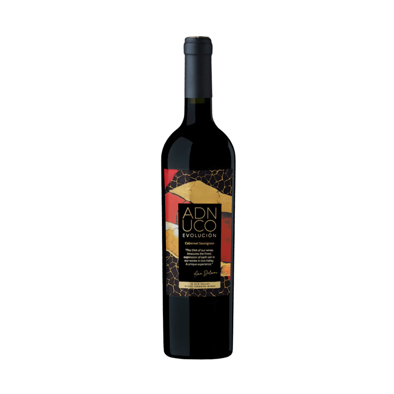    FINCA BUENAVENTURA   Evolución Cabernet Sauvignon  2021 