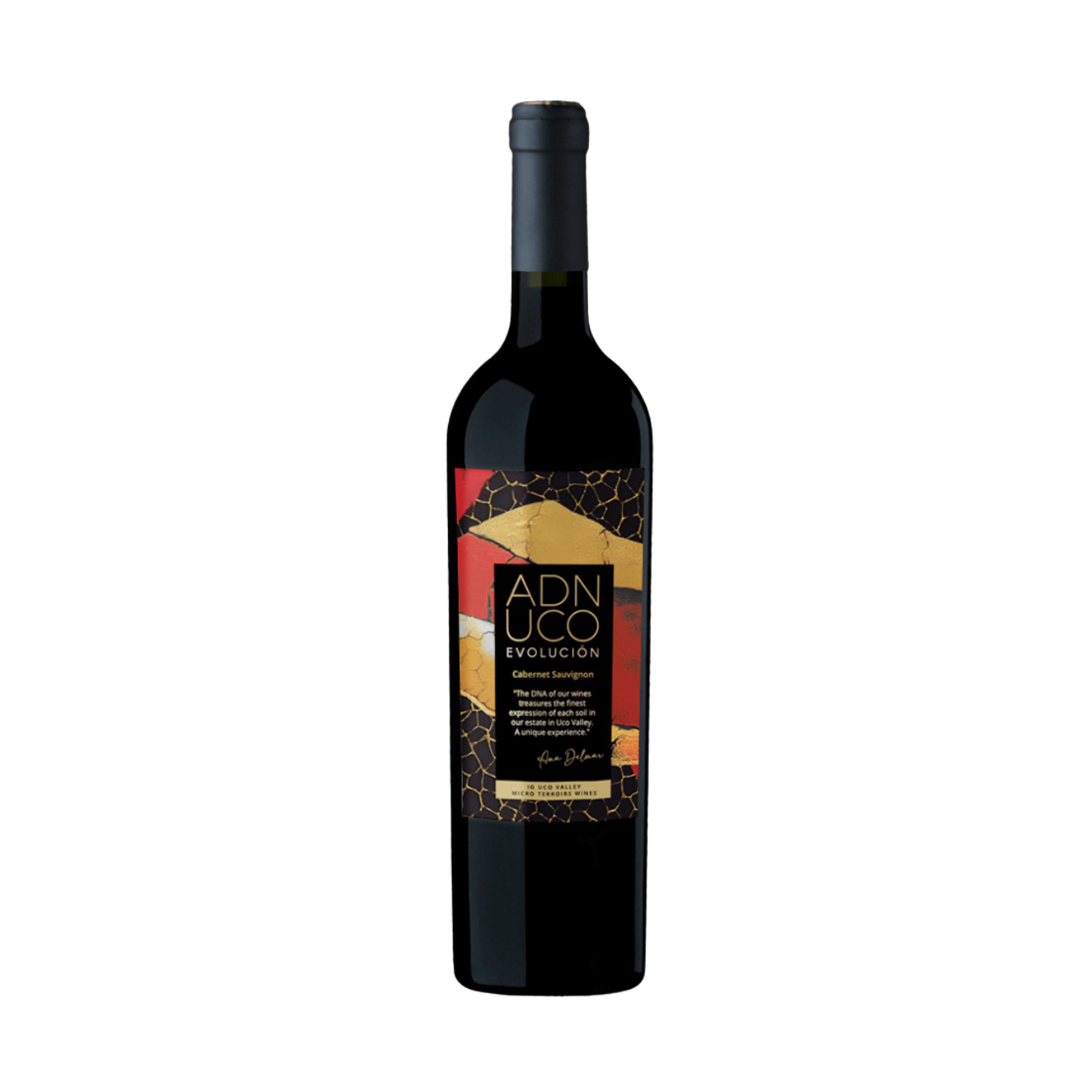    FINCA BUENAVENTURA   Evolución Cabernet Sauvignon  2021 
