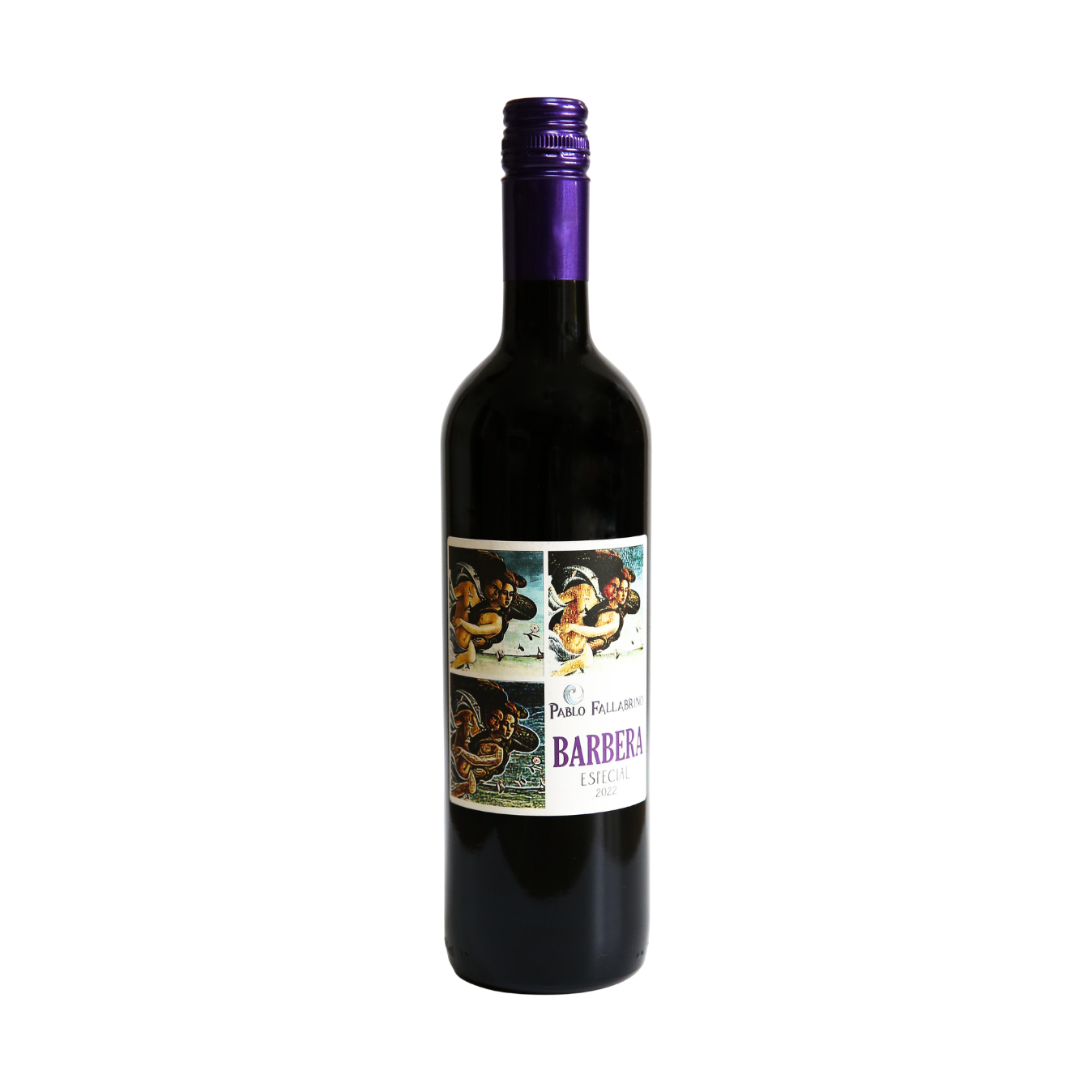   BODEGA PABLO FALLABRINO   Barbera Especial  2023 