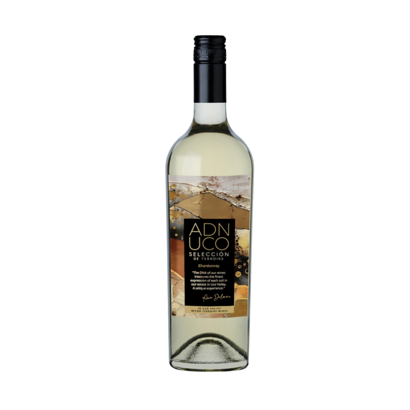    FINCA BUENAVENTURA   Selección Chardonnay  2023 