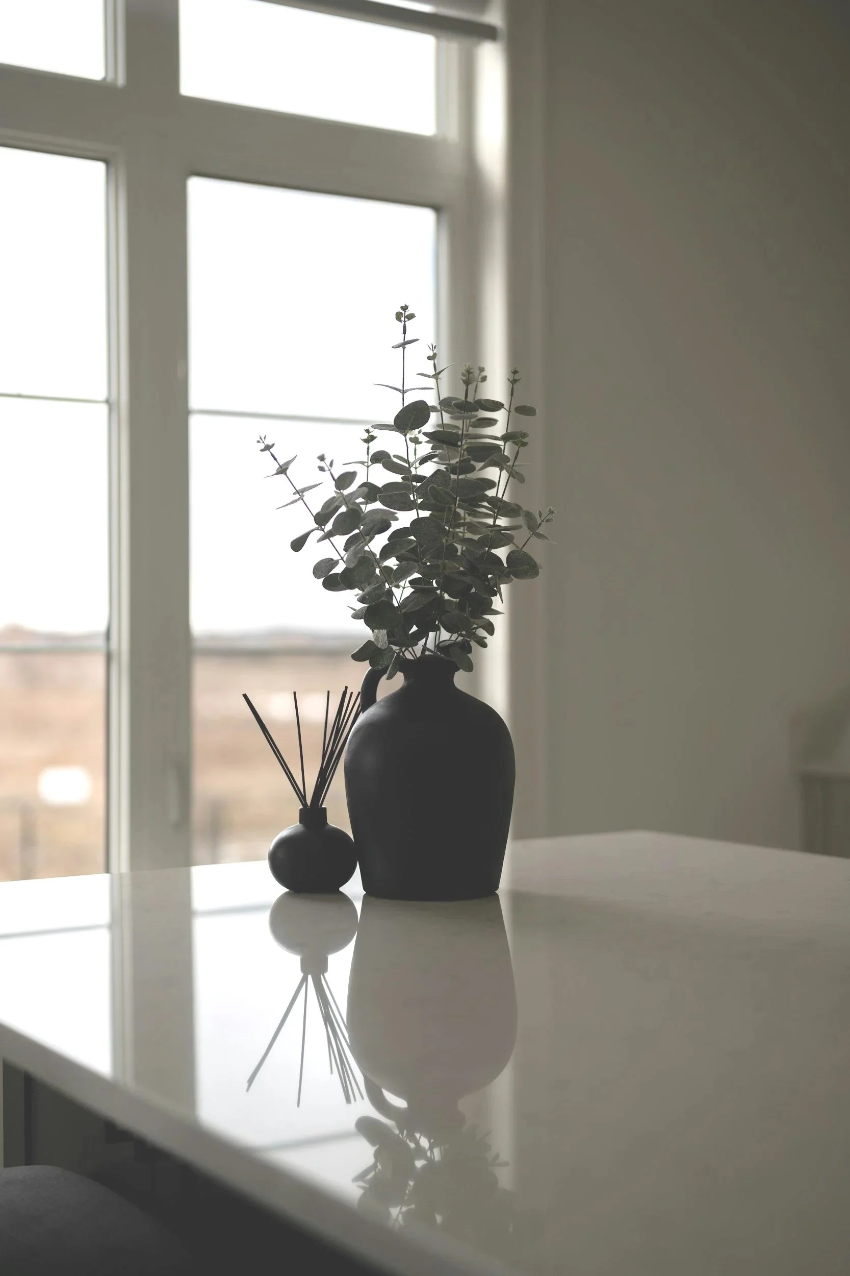 A dark vase with green leafy plant on a reflective white surface near a window with white frame, sunlight coming through, creating a reflection of the plant on the surface.
